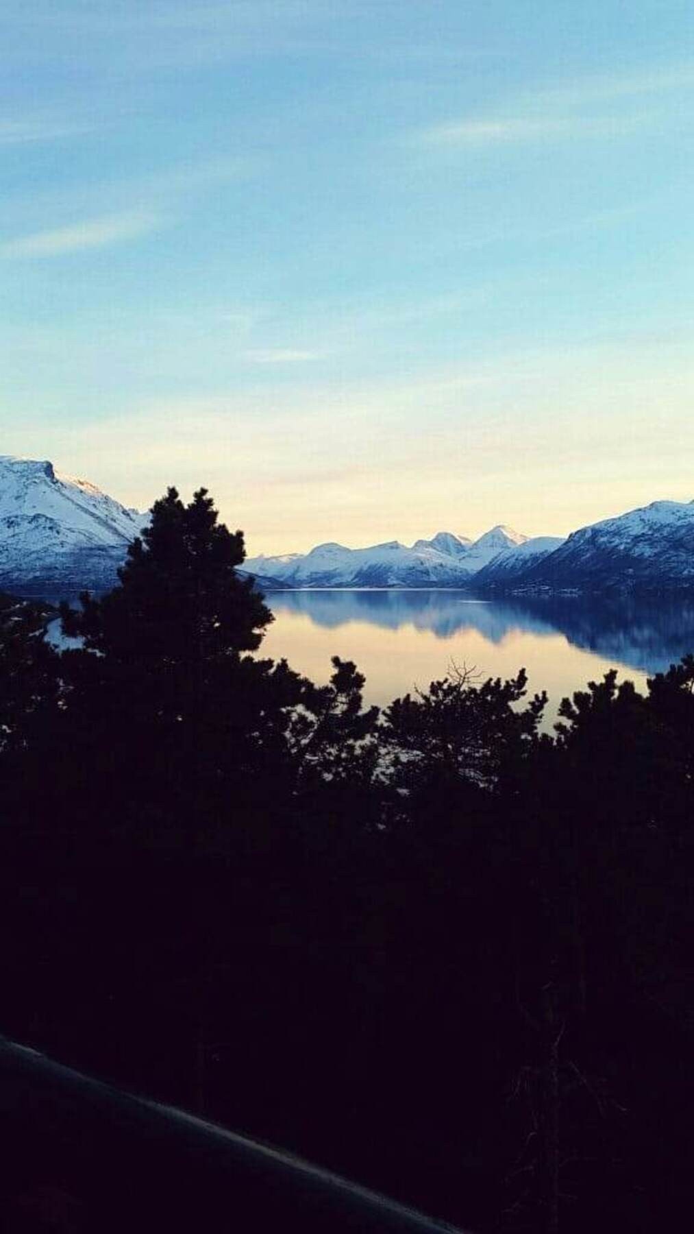 Selgers egne bilder Galleribilde