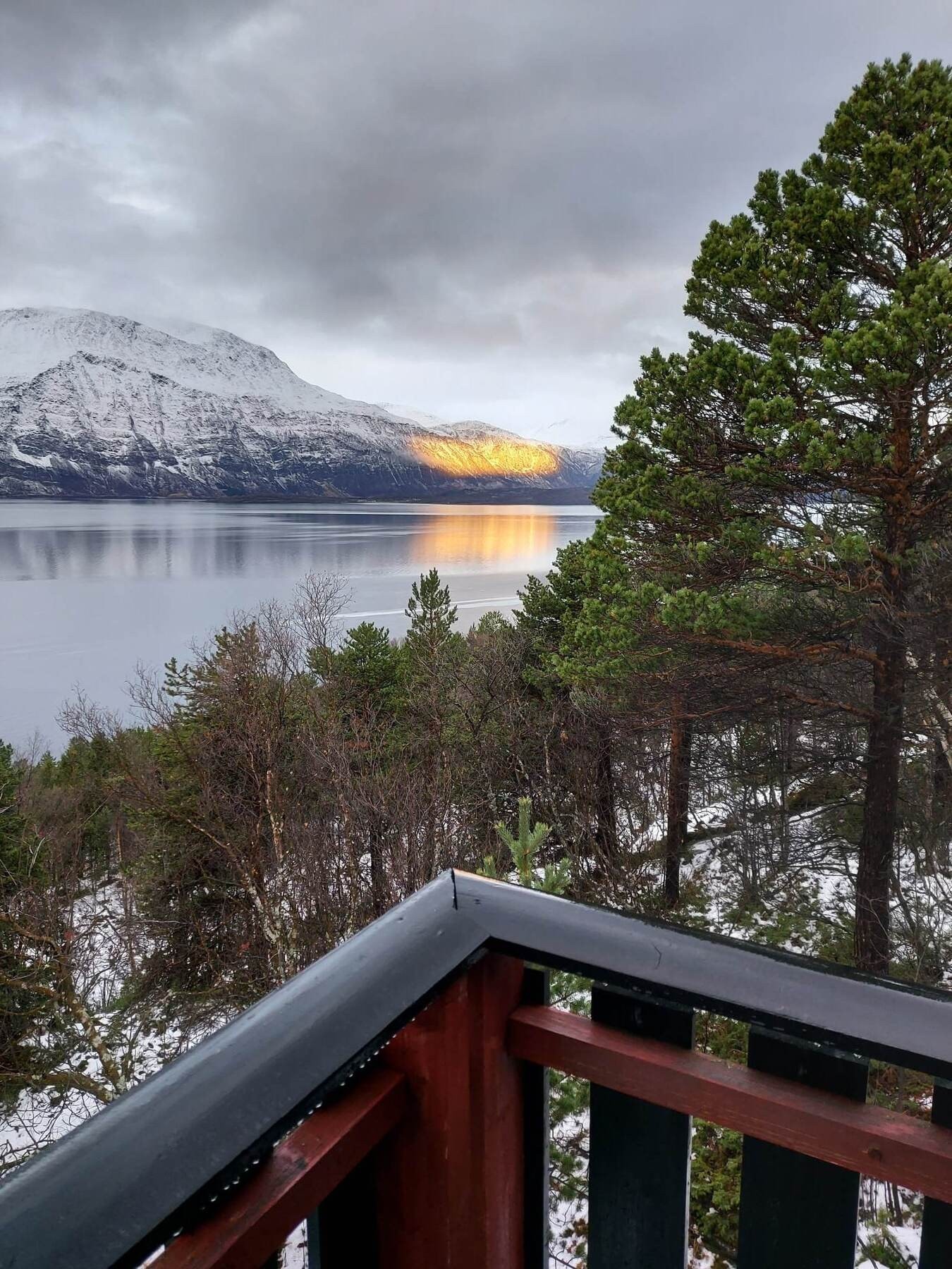 Selgers egne bilder Galleribilde