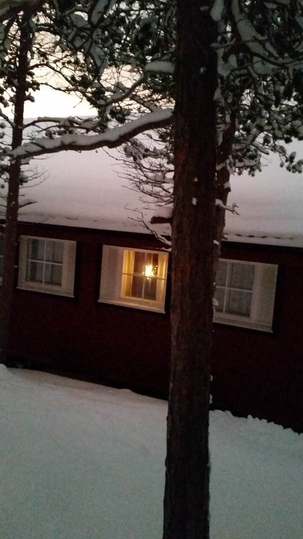 Selgers egne bilder Galleribilde