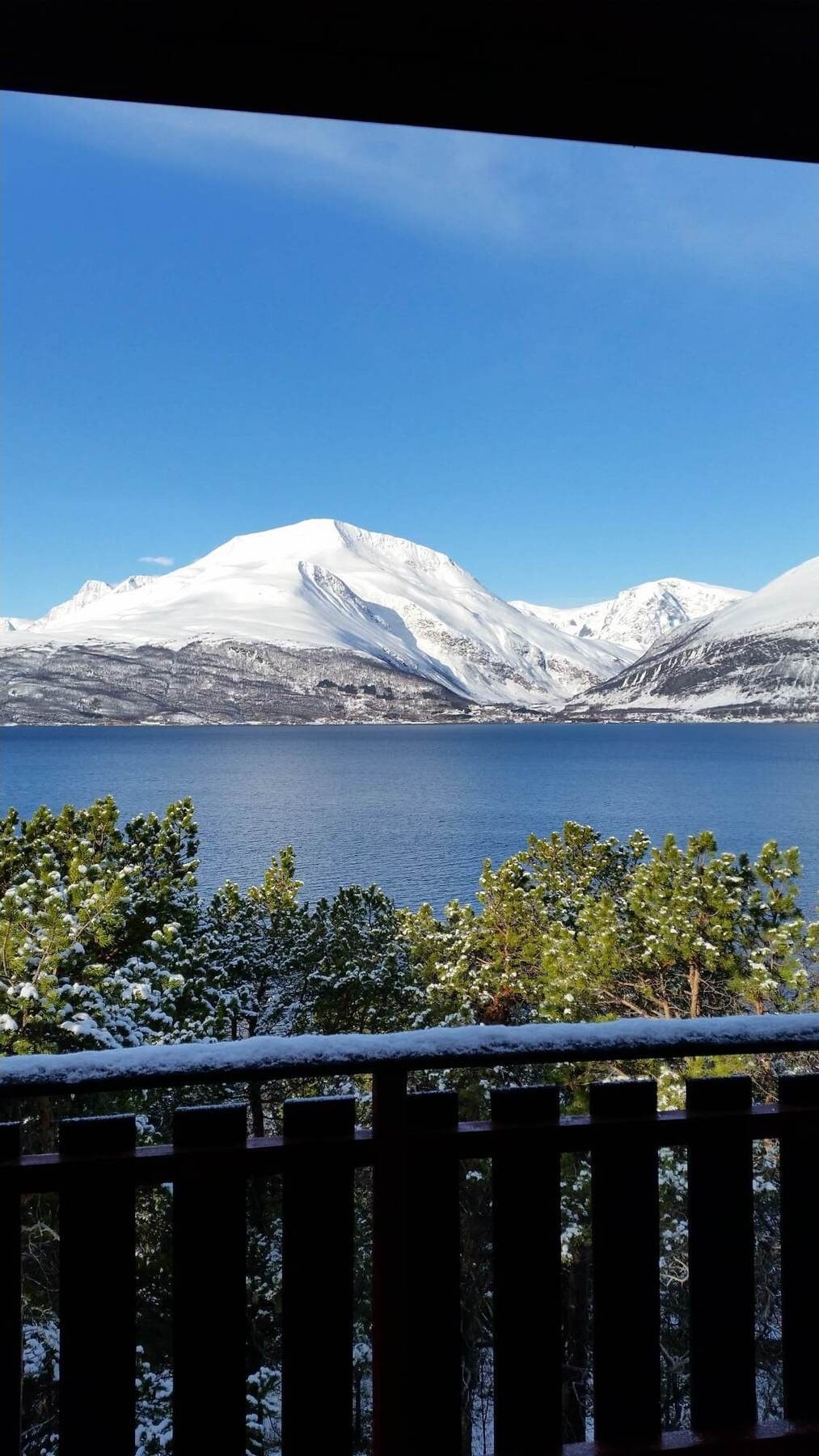 Selgers egne bilder Galleribilde