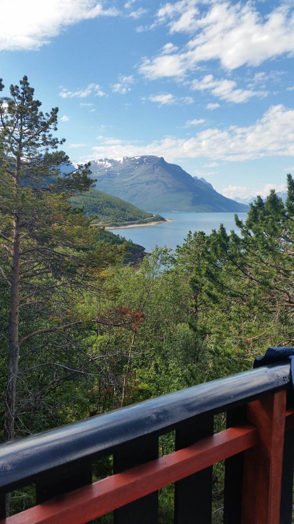 Selgers egne bilder Galleribilde