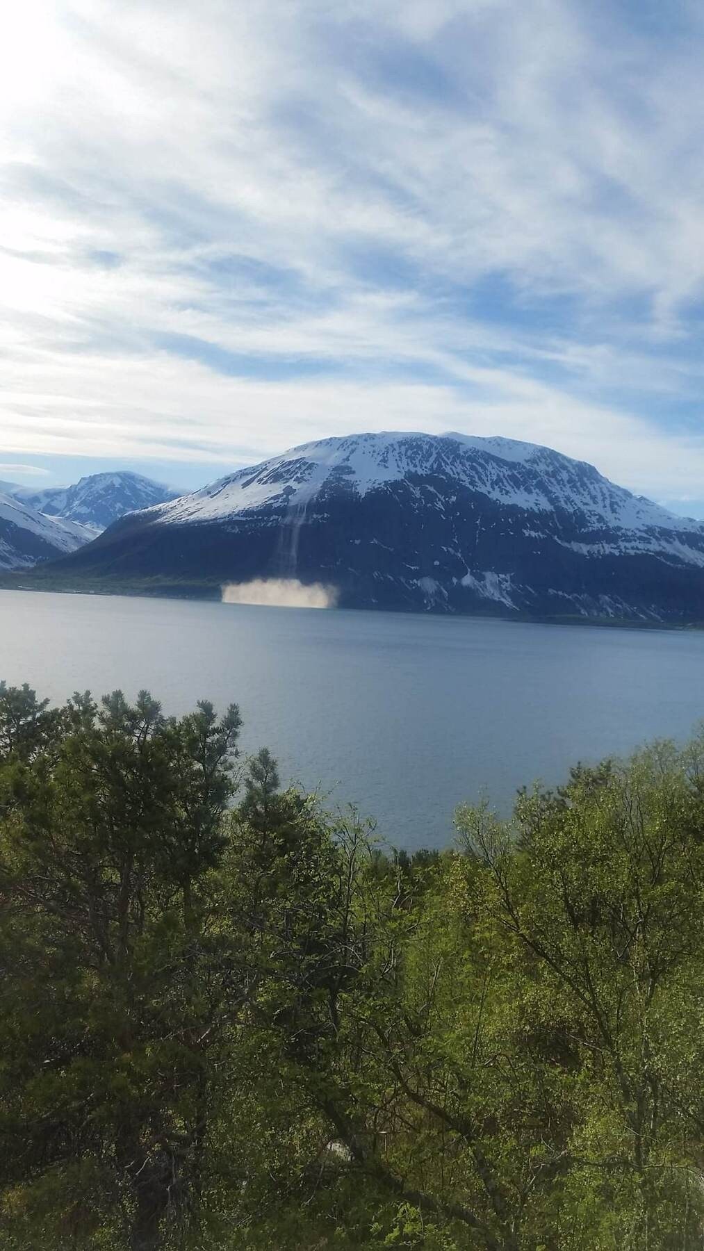 Selgers egne bilder Galleribilde