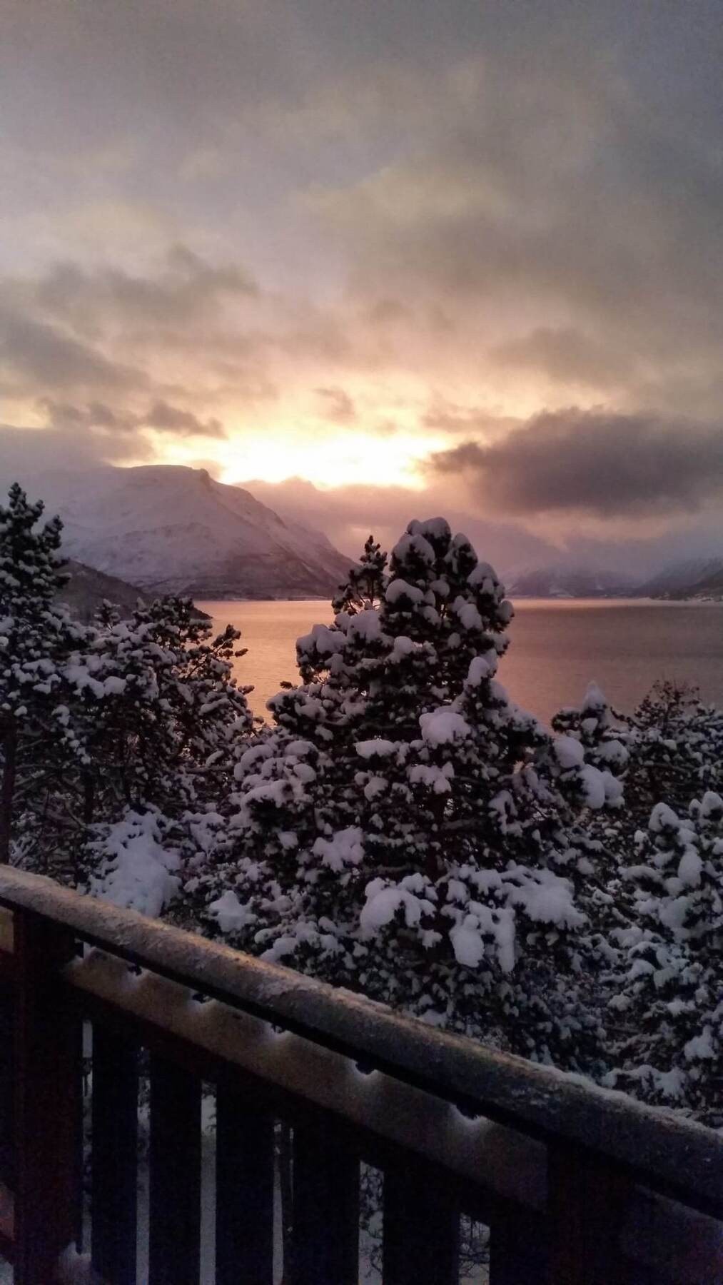 Selgers egne bilder Galleribilde