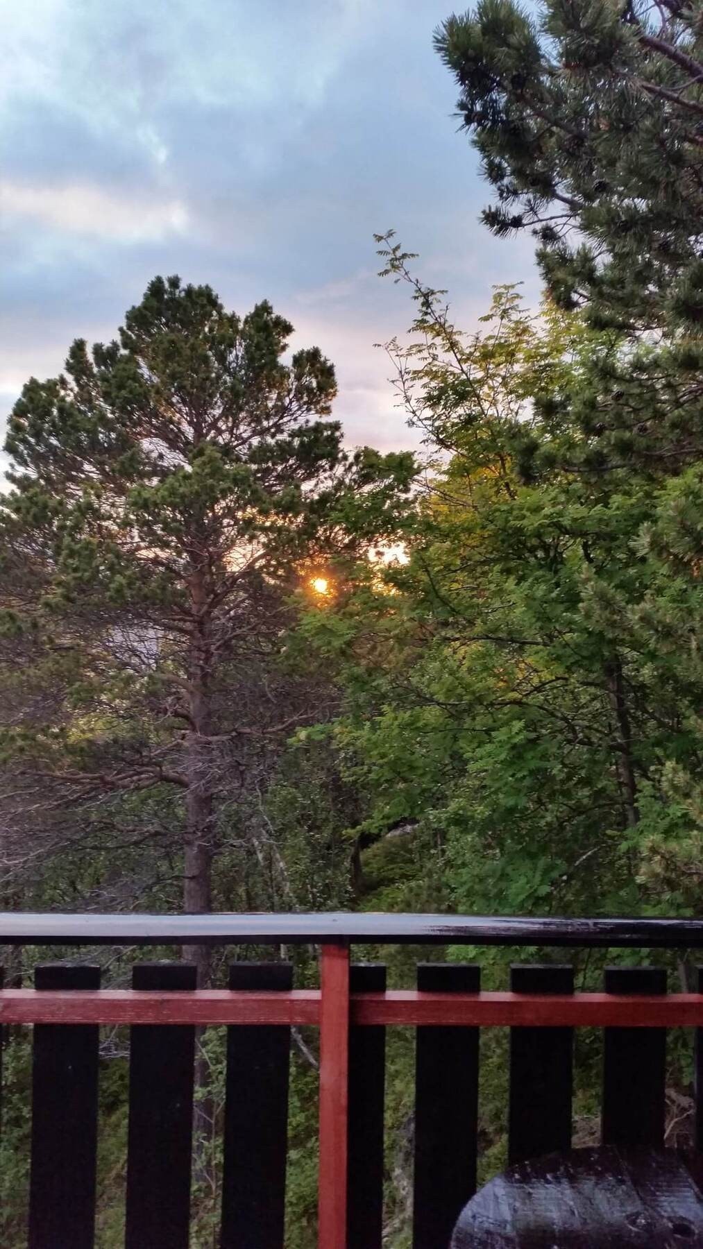 Selgers egne bilder Galleribilde