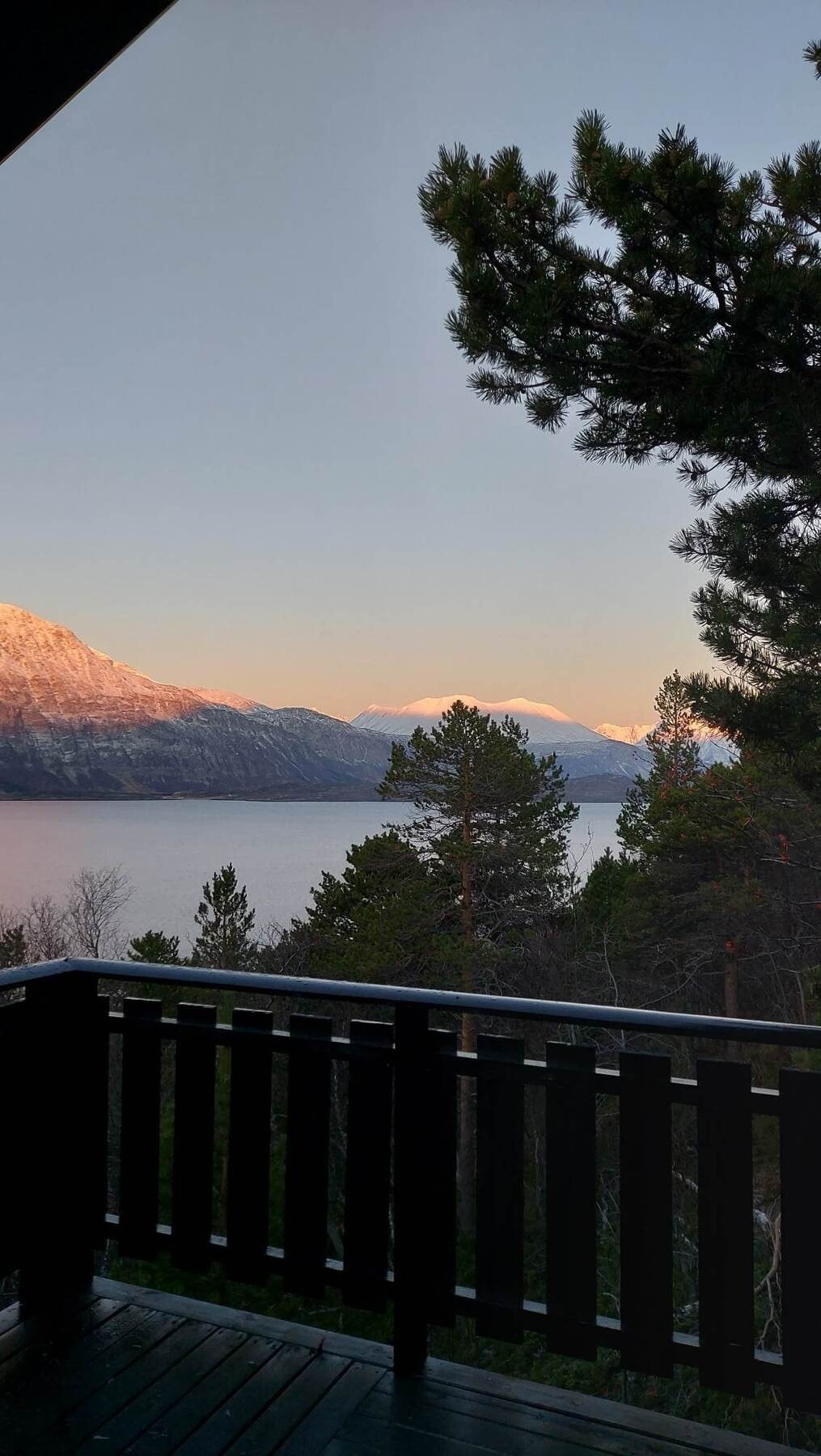 Selgers egne bilder Galleribilde