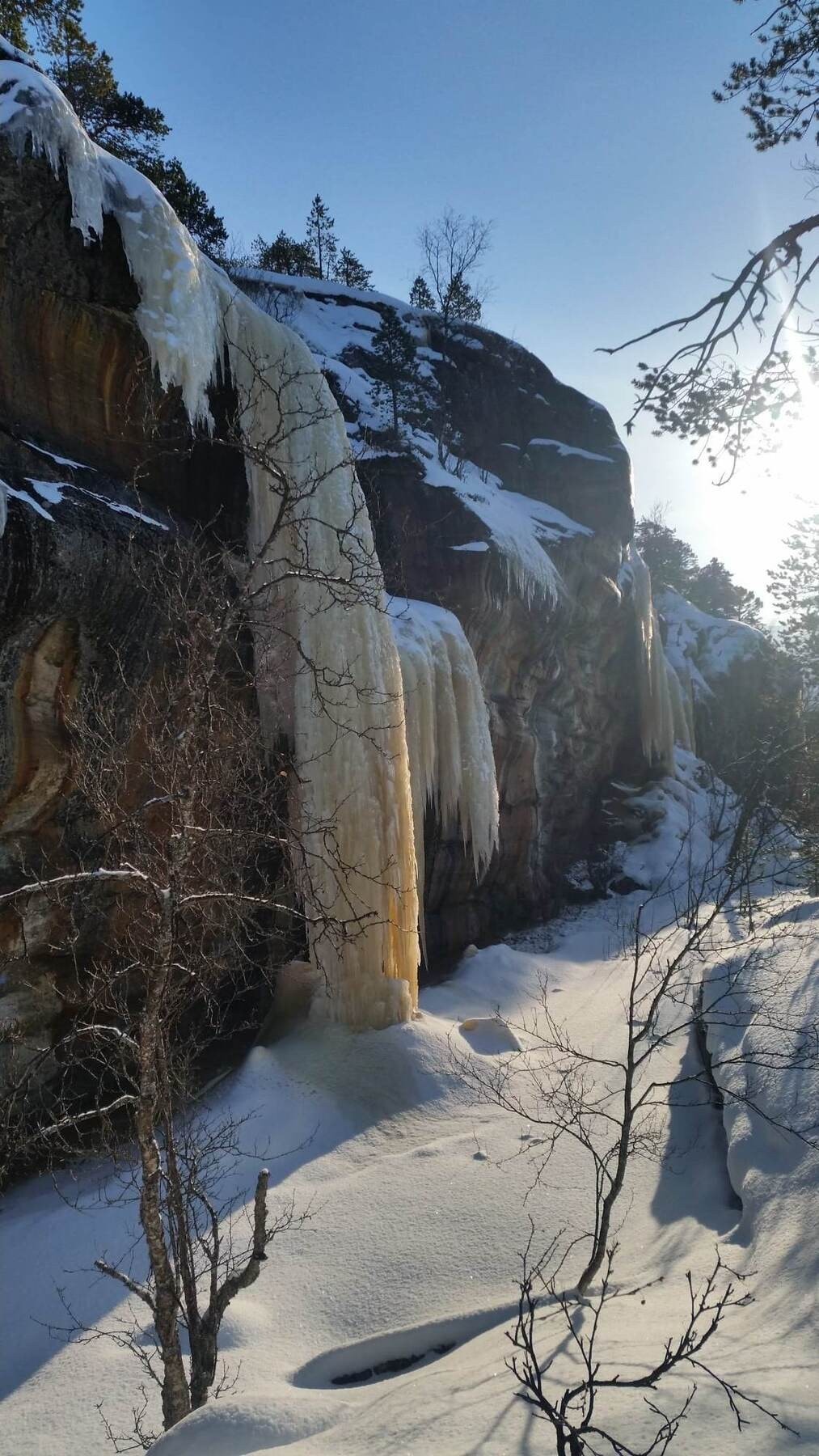 Selgers egne bilder Galleribilde