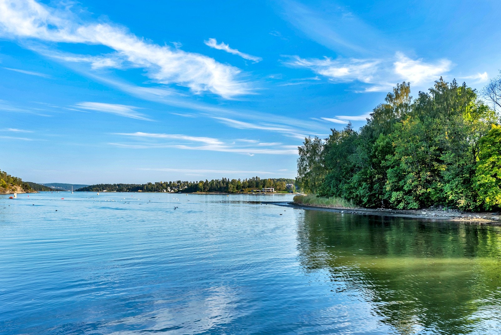 Område bilder av Sandvika sentrum og Kadettangen Galleribilde