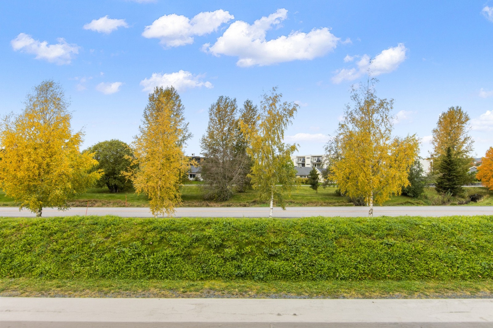 Utsikt fra terrassen. Galleribilde