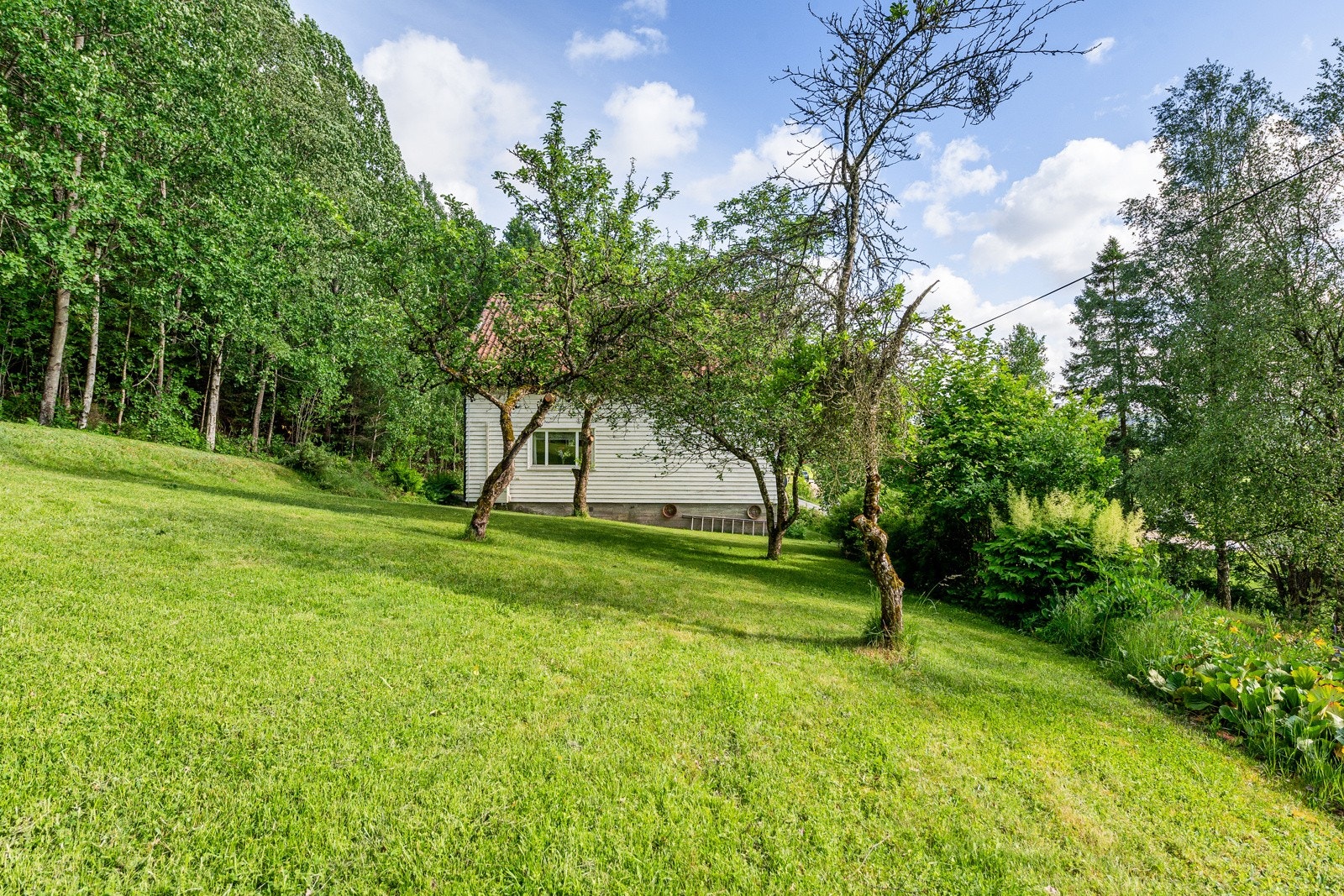 Tomten er opparbeidet med gressplen, prydbusker, frukttrær og trær Galleribilde