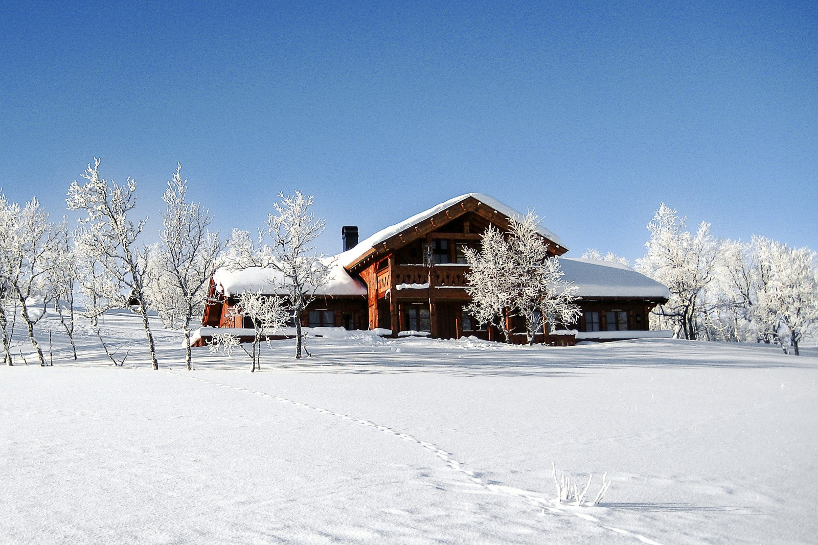hovedbilde