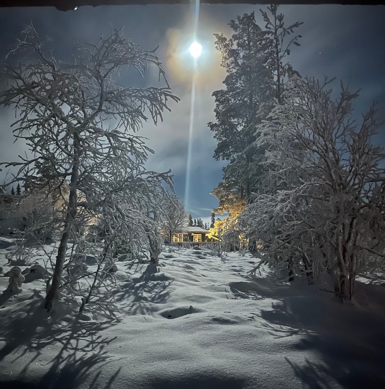 Mektig vinterlandskap i måneskinn! Bilde tatt av selger fra et av soverommene. Galleribilde