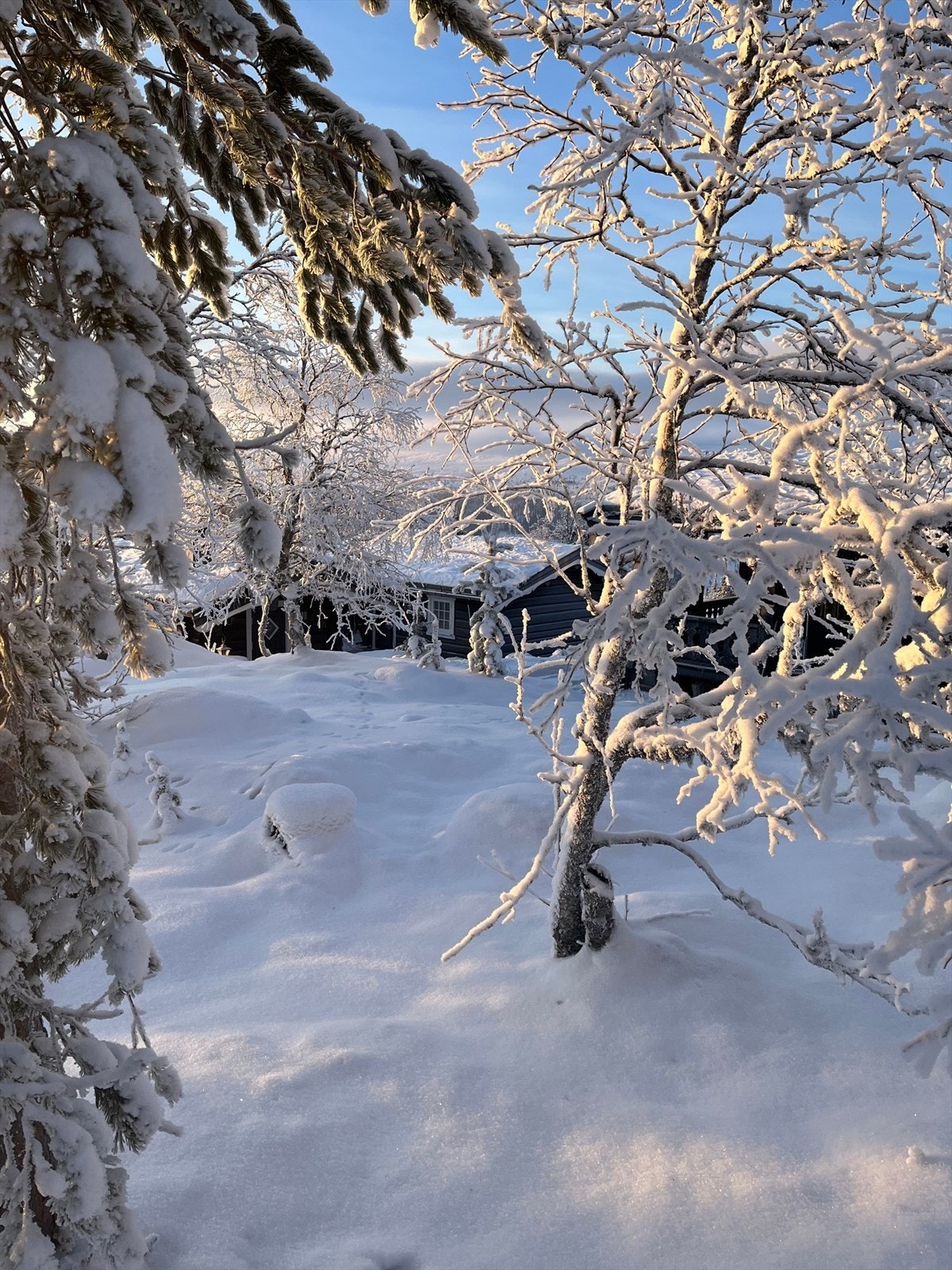 Mot "Lillestova". Galleribilde