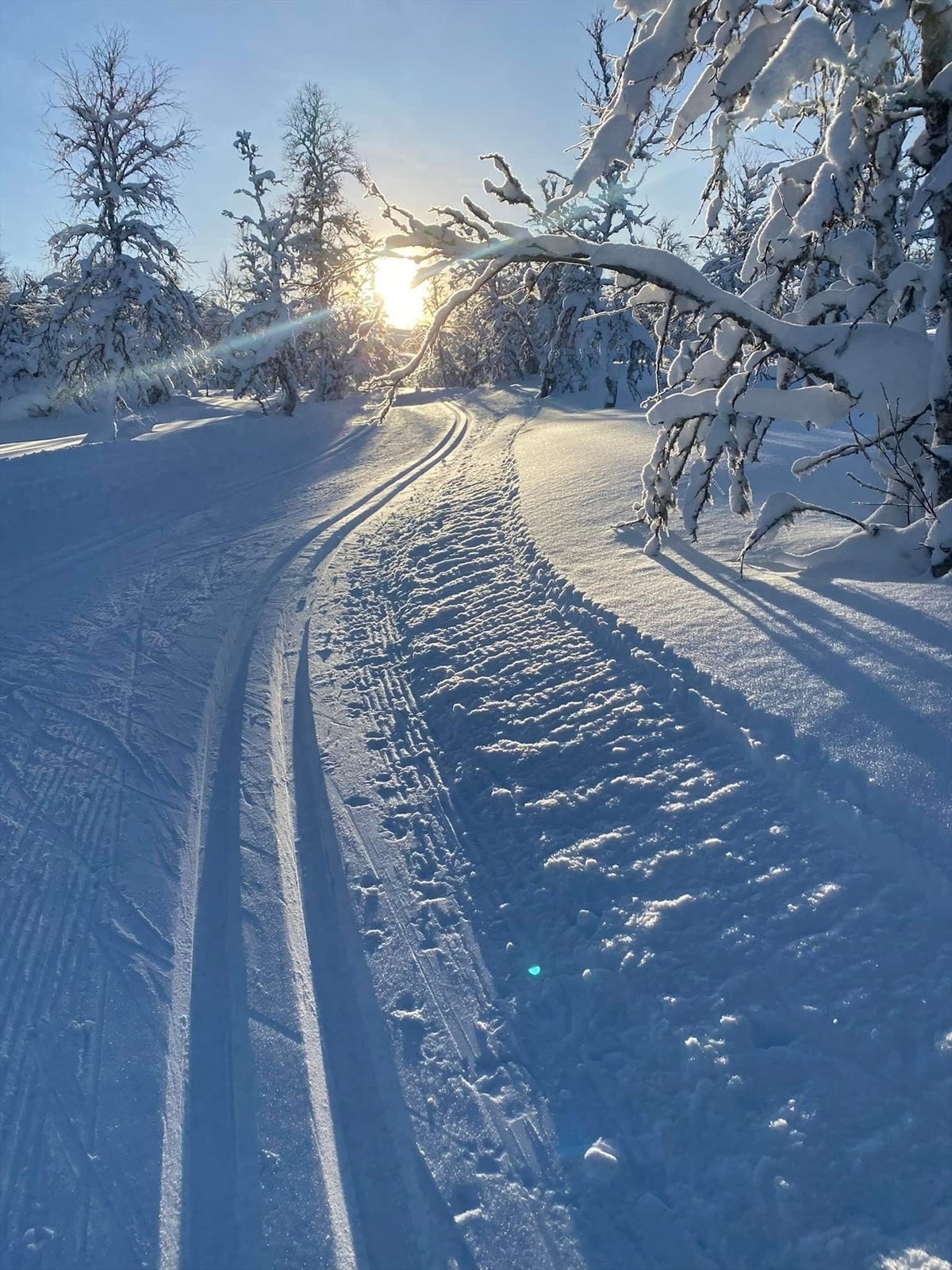 Du finner et velpreparert løypenett kun 200 m fra eiendommen som fører deg enten innover fjellet når været tillater det, eller i varierende skogsterreng. Galleribilde