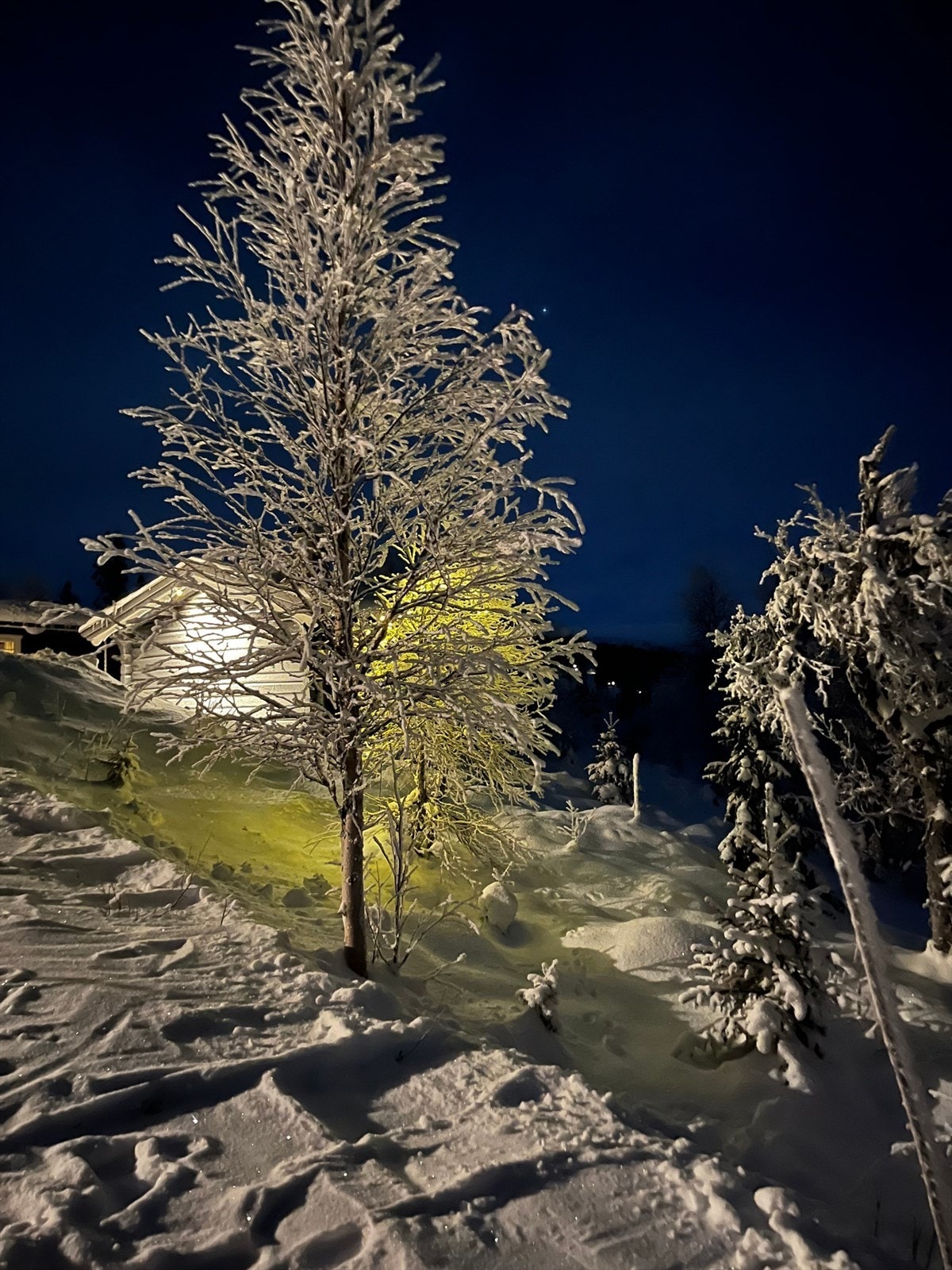 "Mellomstova" by night. Galleribilde