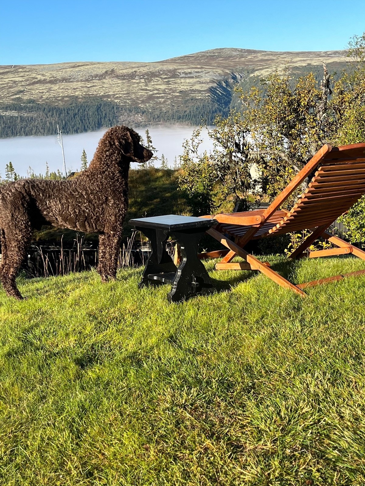 Med flotte turmuligheter i umiddelbar nærhet er hytteområdet og eiendommen et flott utgangspunkt for både to- og firbeinte. Galleribilde