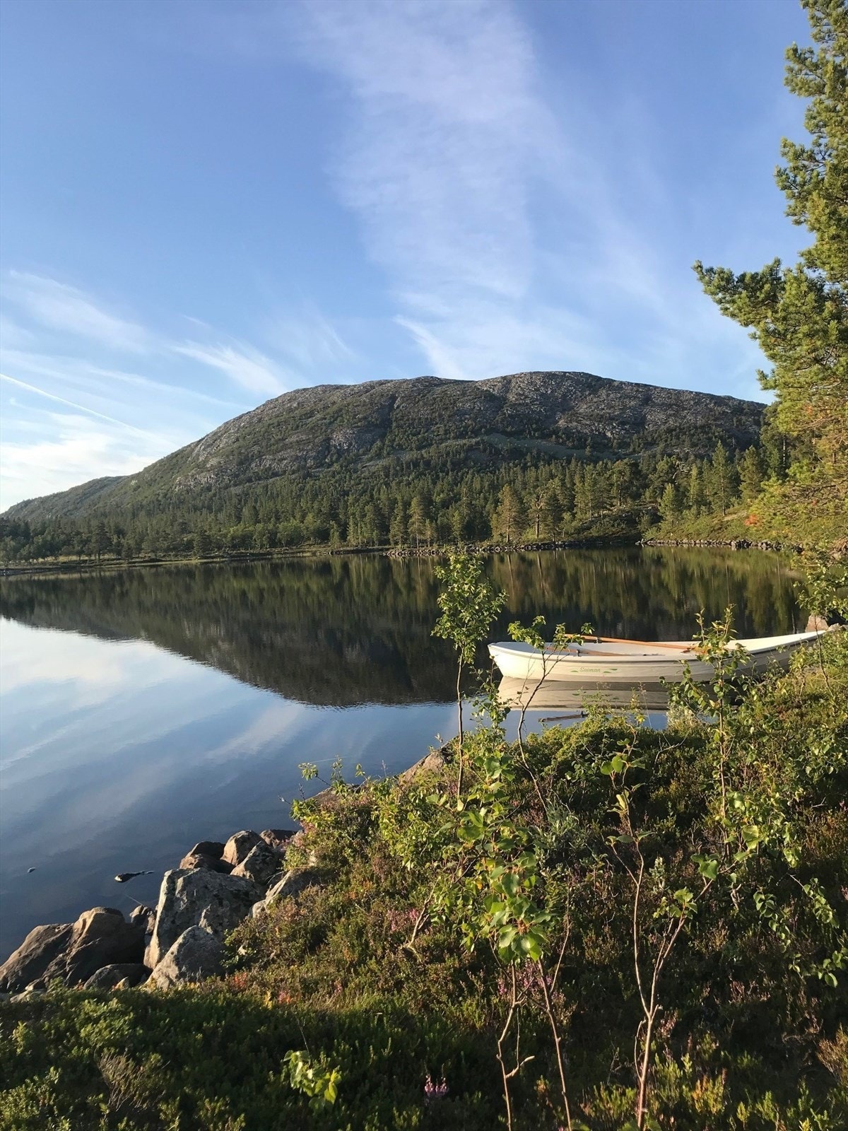Selger opplyser at båt som ligger plassert i et fiskerikt fjellvann medfølger. Galleribilde