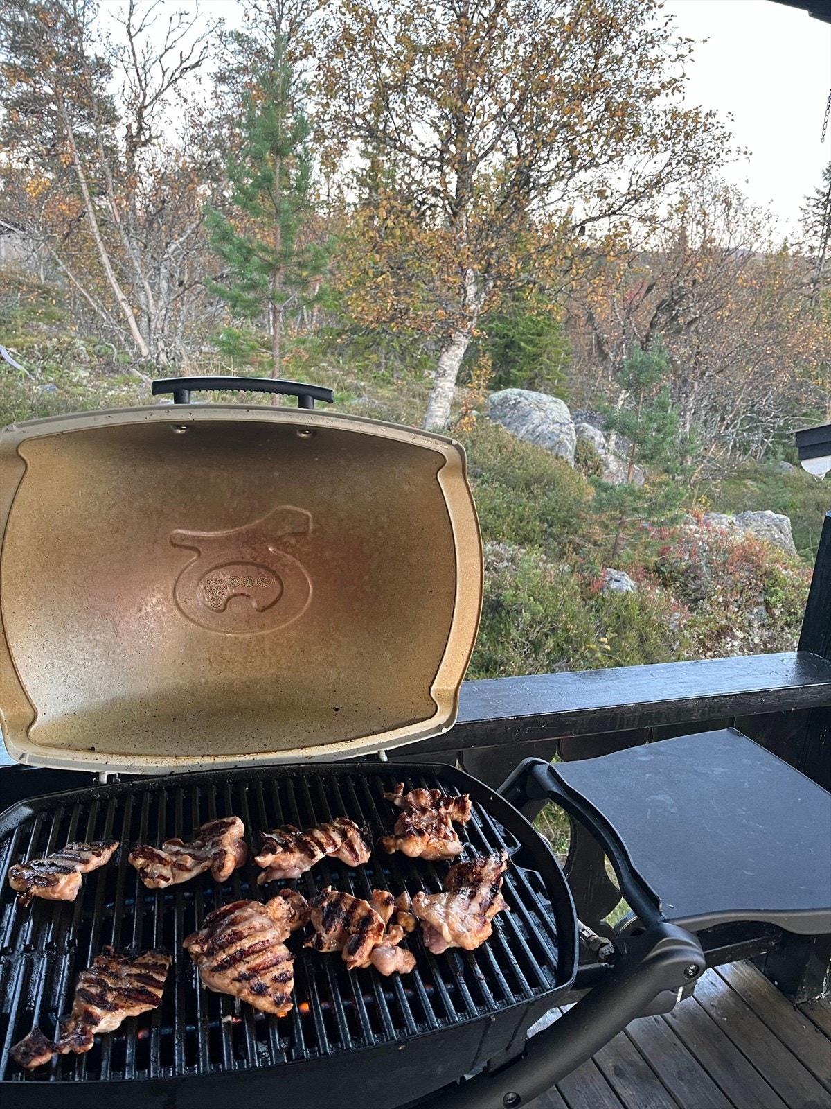 Selgers eget bilde fra grillhygge på verandaen - maten er klar! Galleribilde