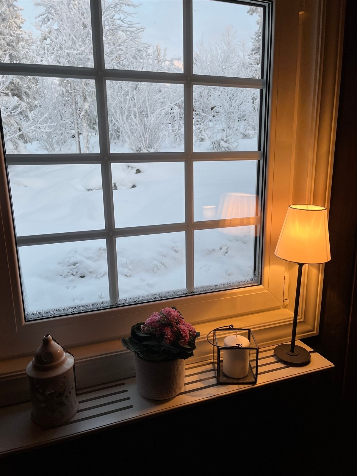 Utsyn fra hovedsoverom mot fint vinterlandskap. Galleribilde