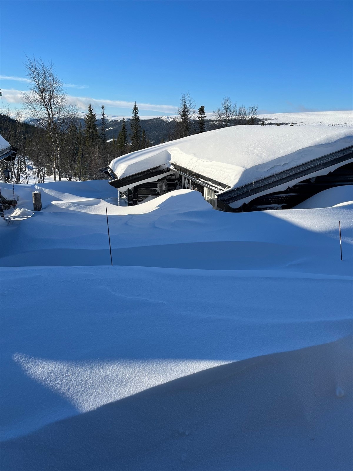 Snøsikre områder gir den rette vinterstemningen på fjellet. Galleribilde
