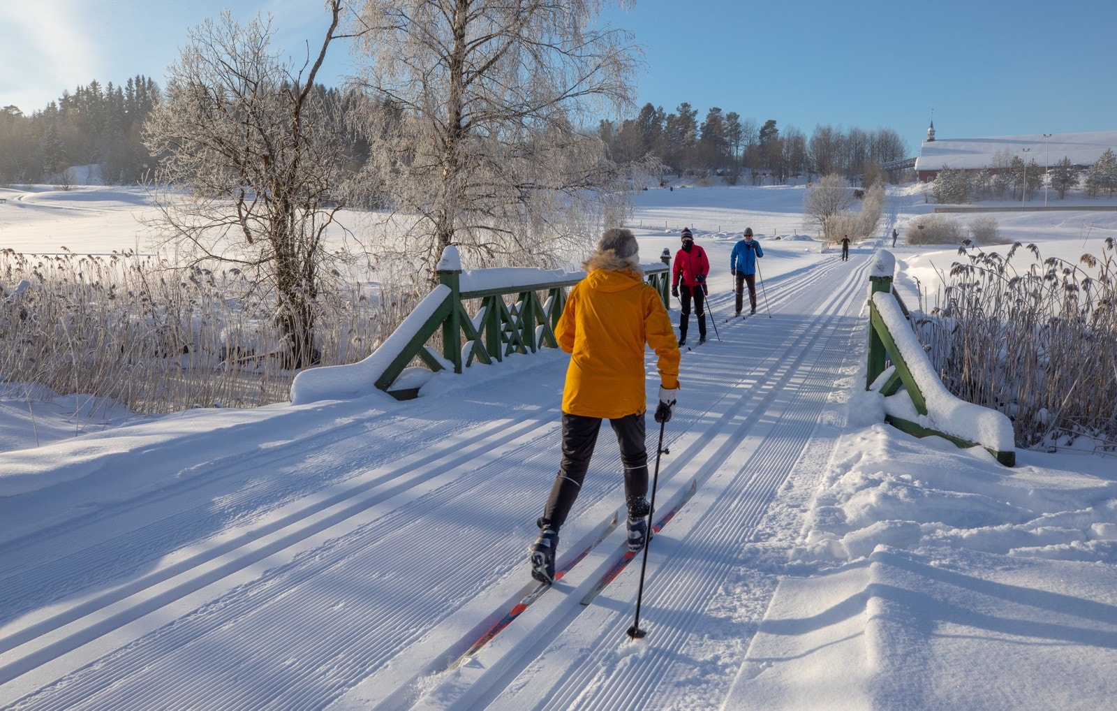 Fine skiløyper ved Losby Gods. Galleribilde