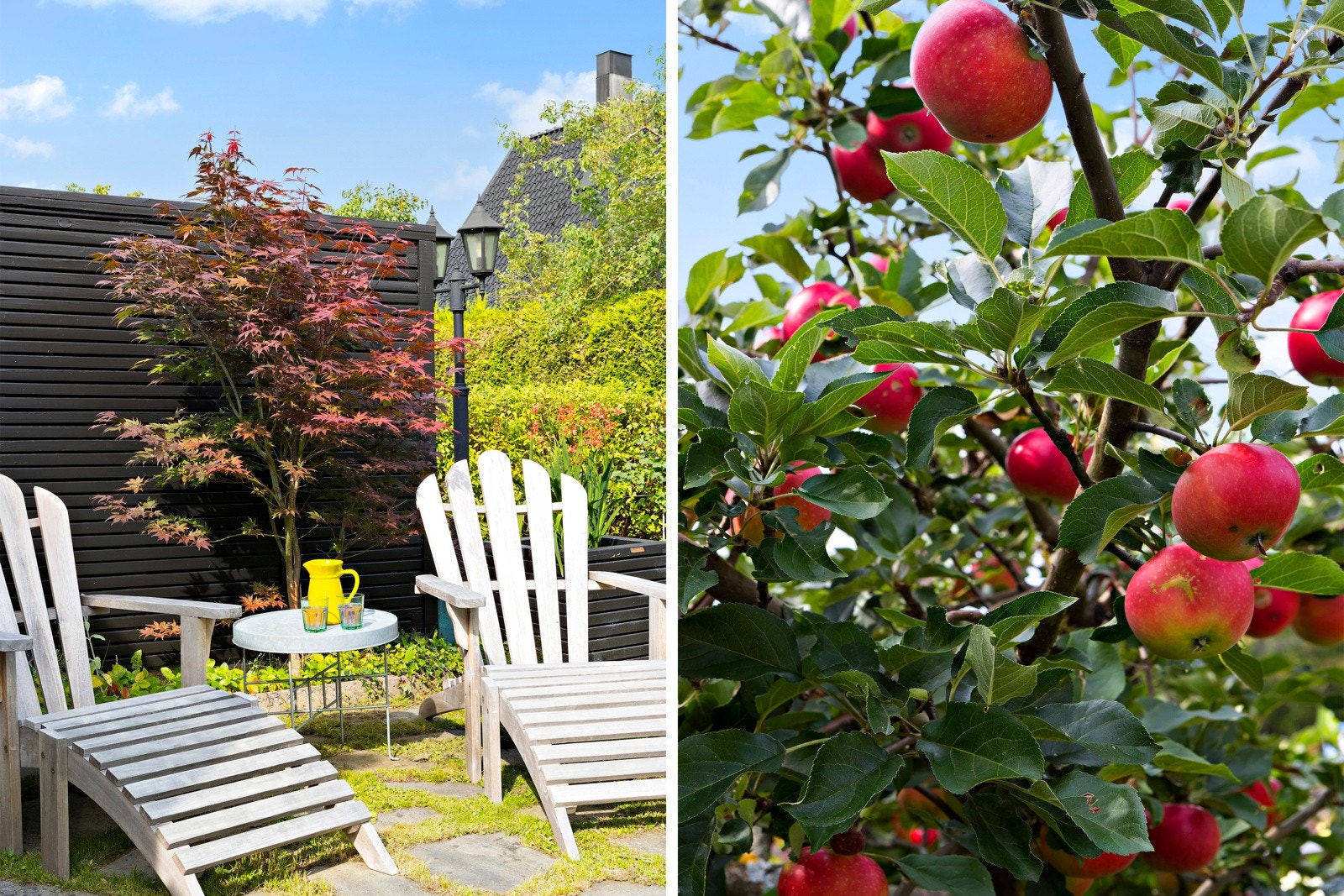 Sol og sommer i hagen. Galleribilde