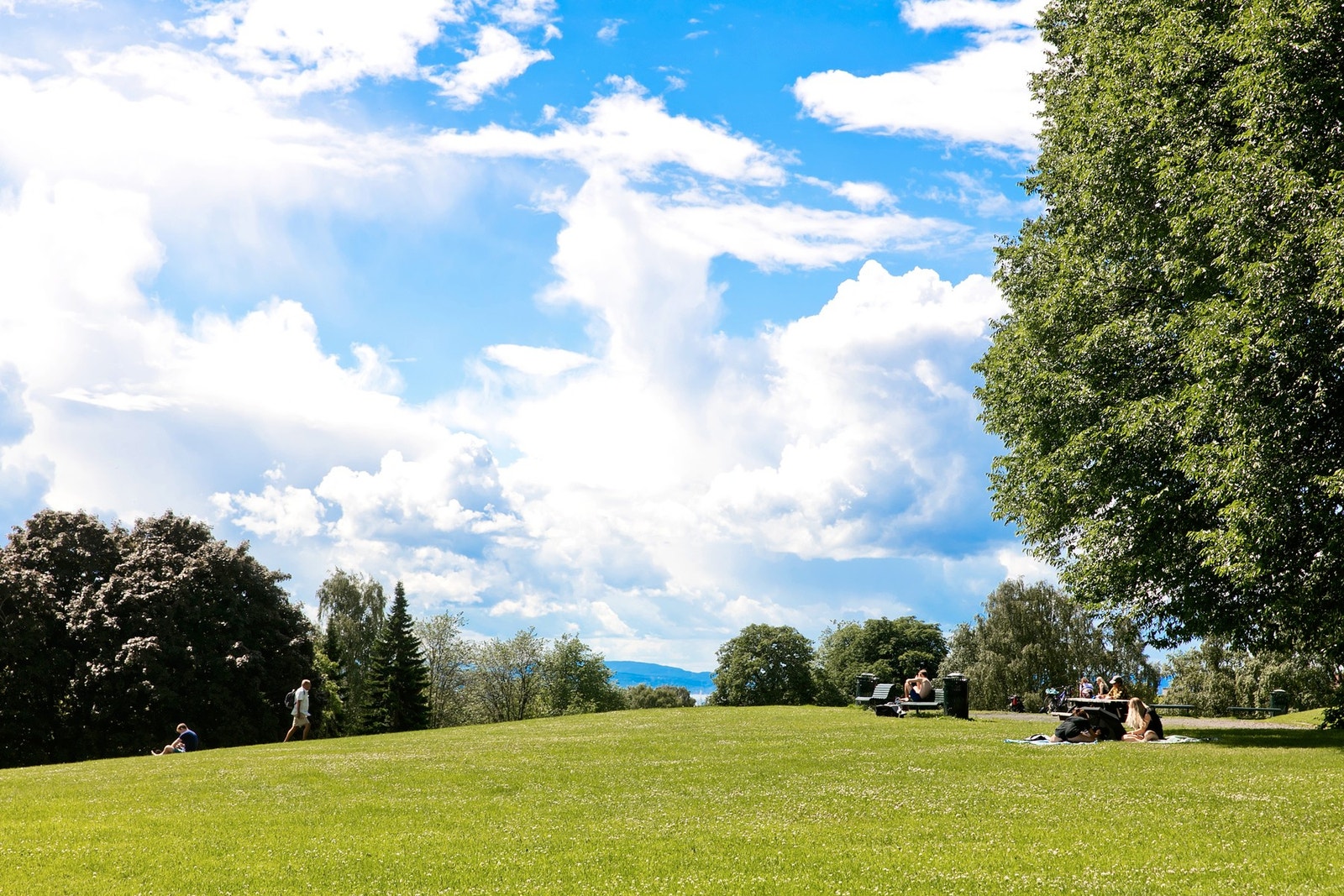 Torshovparken er rett opp gata! Galleribilde