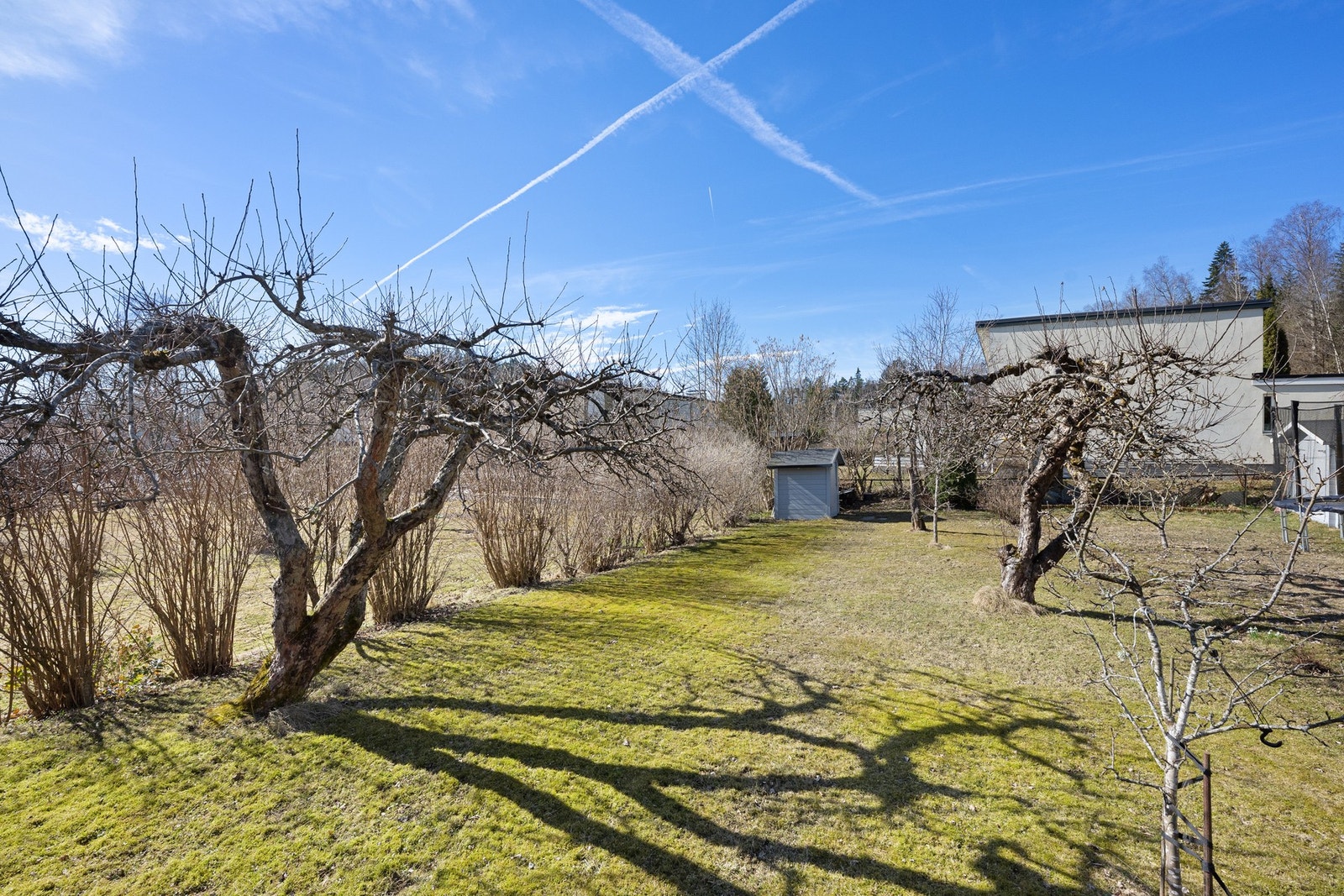 Nydelig og usjenert hage med både eple og plommetrær. Rips og solbær busker nederst i hagen. Galleribilde