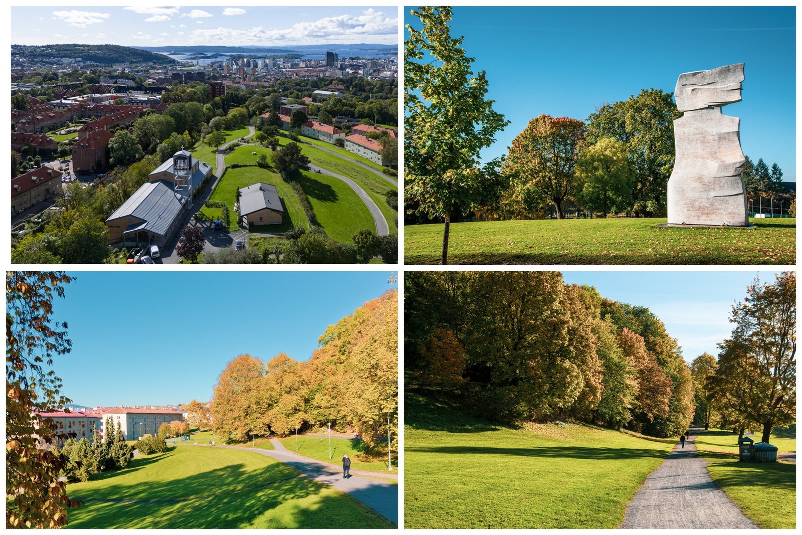 En rekke grønne lunger i umiddelbar nærhet. Galleribilde