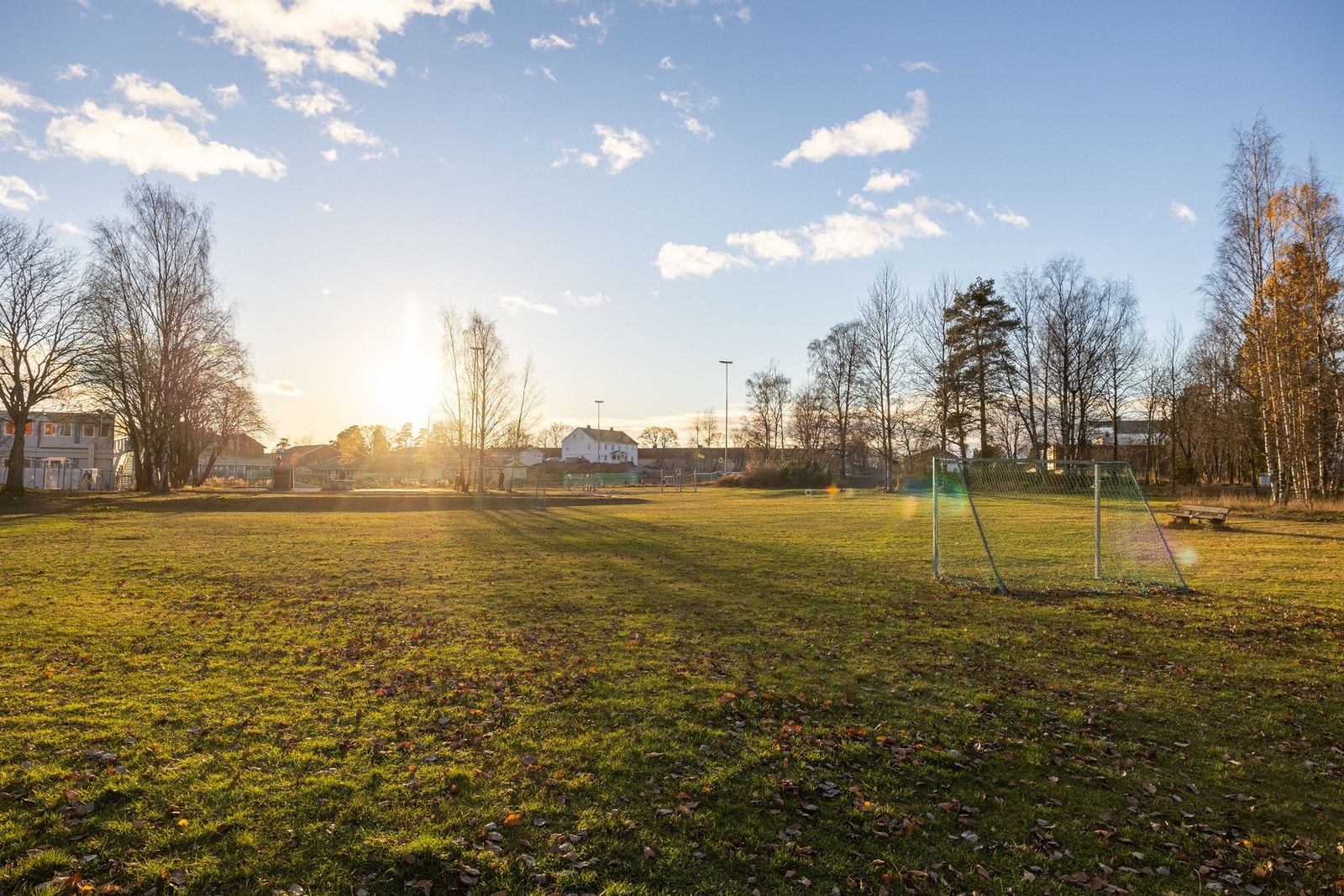 Nærområdet. Galleribilde
