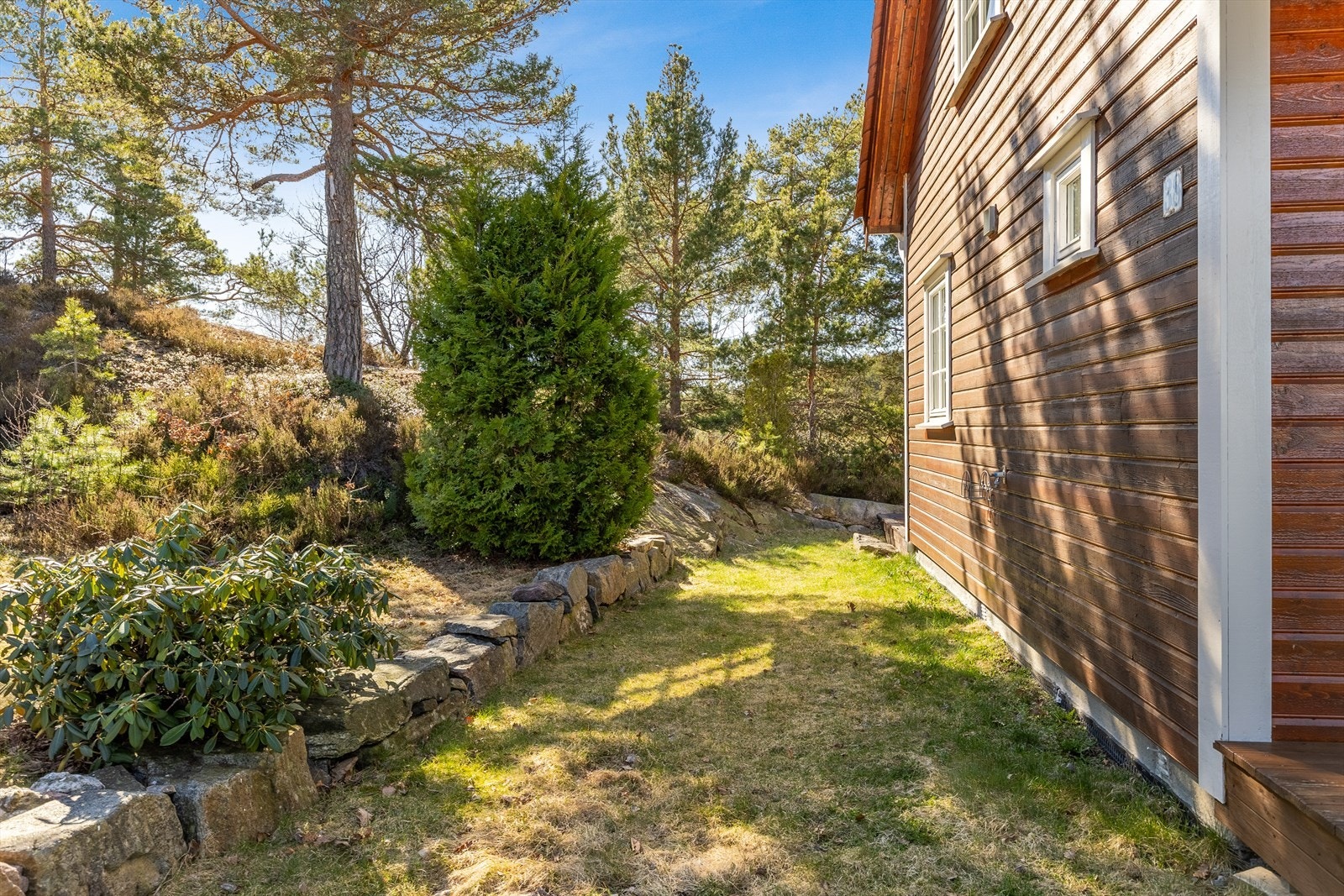 Uteområder rundt hytta med plen og beplantninger Galleribilde