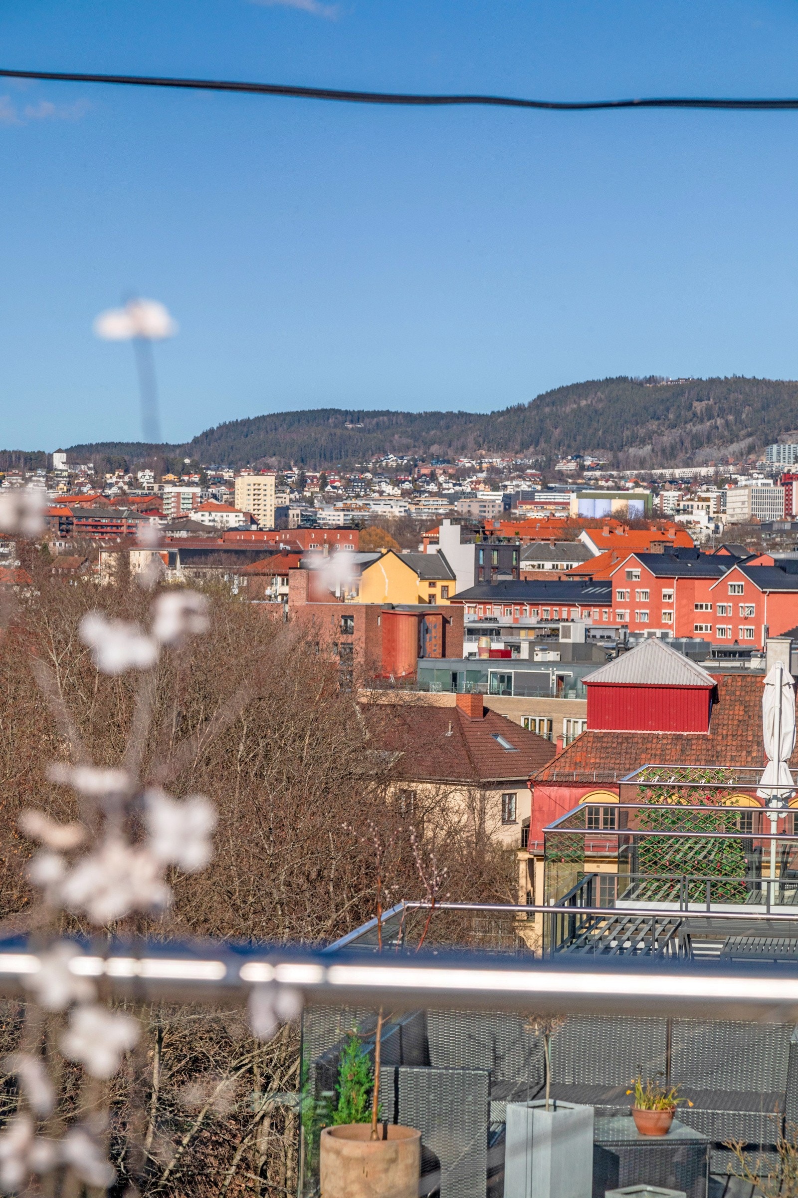 Fantastisk utsikt. Galleribilde