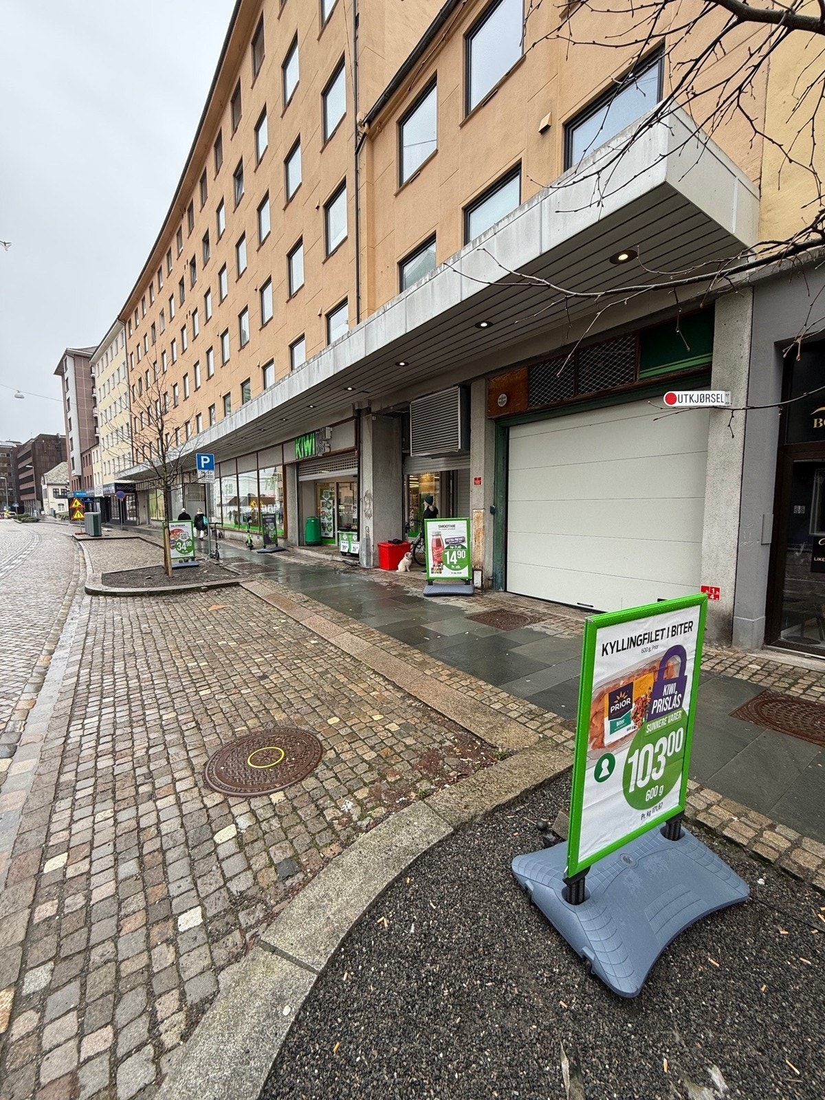 Nyere garasjeport som kan åpnes via mobil Galleribilde