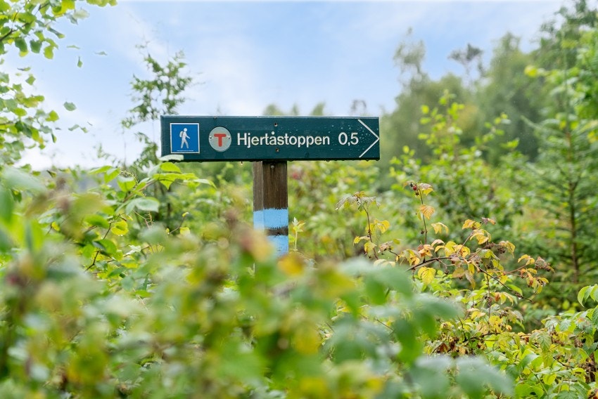 Hjertås som er ett av Sandefjords beste turområder ligger like ved boligen. Her er det fine turstier i variert terreng. Galleribilde