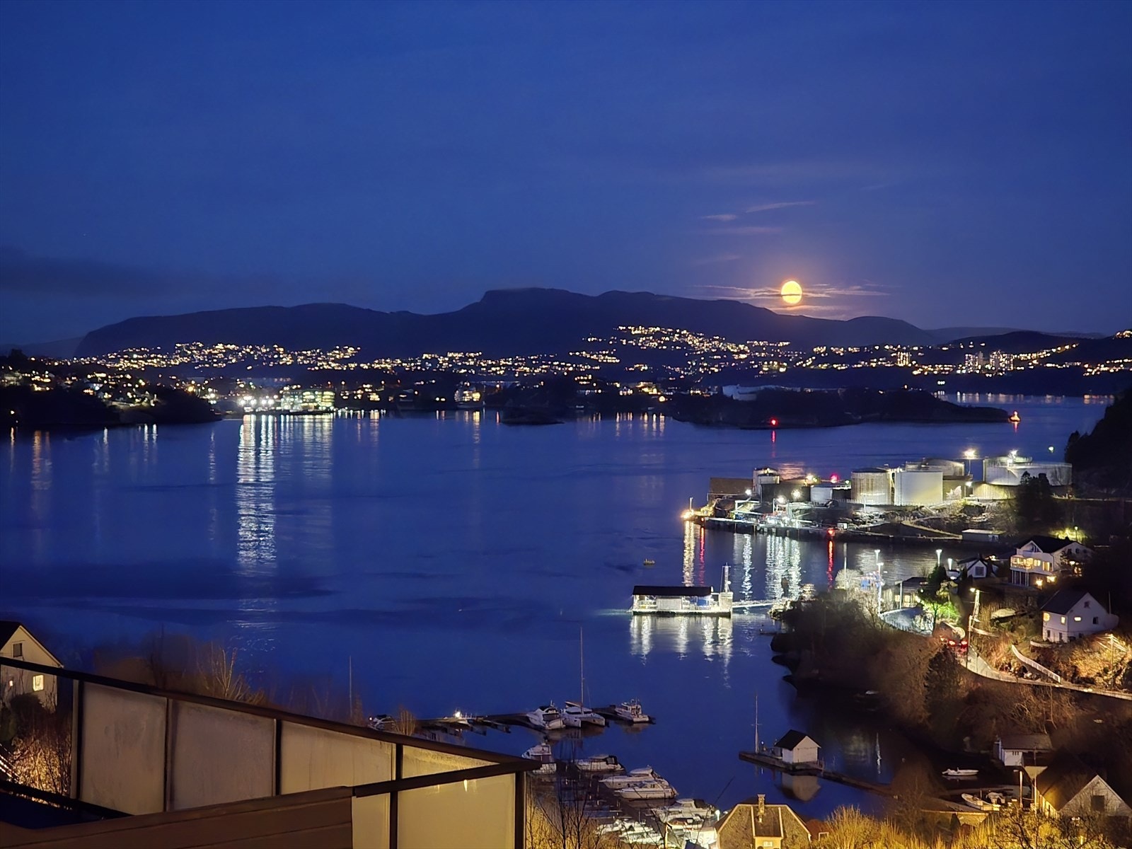 Selgers egen bilder Galleribilde