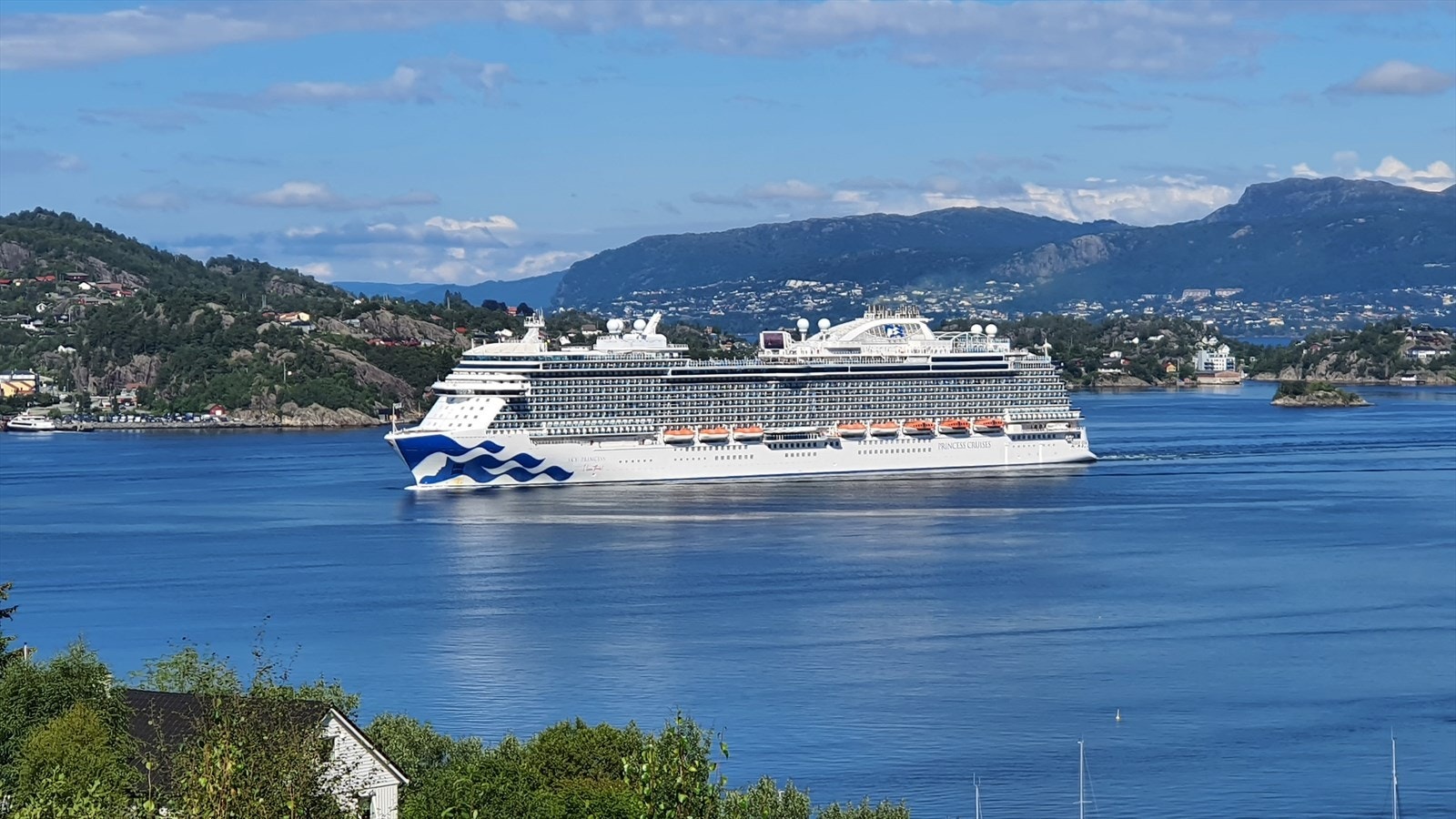 Selgers egen bilder Galleribilde