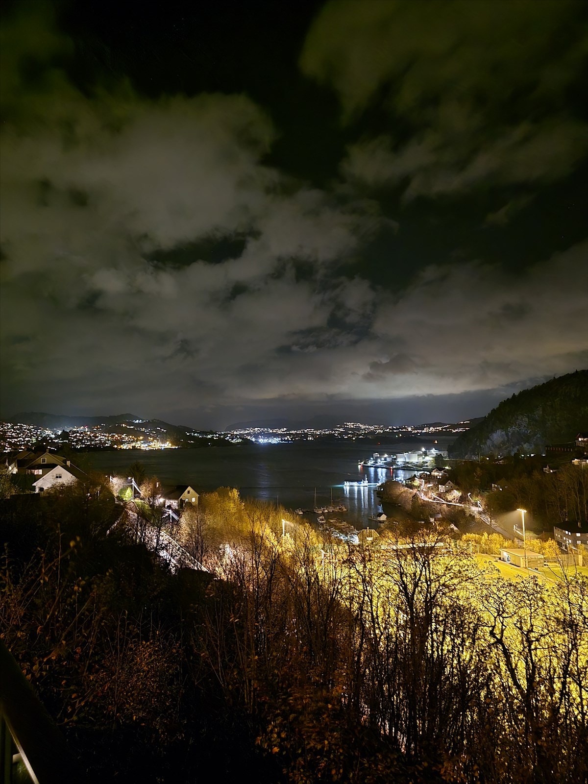 Selgers egen bilder Galleribilde