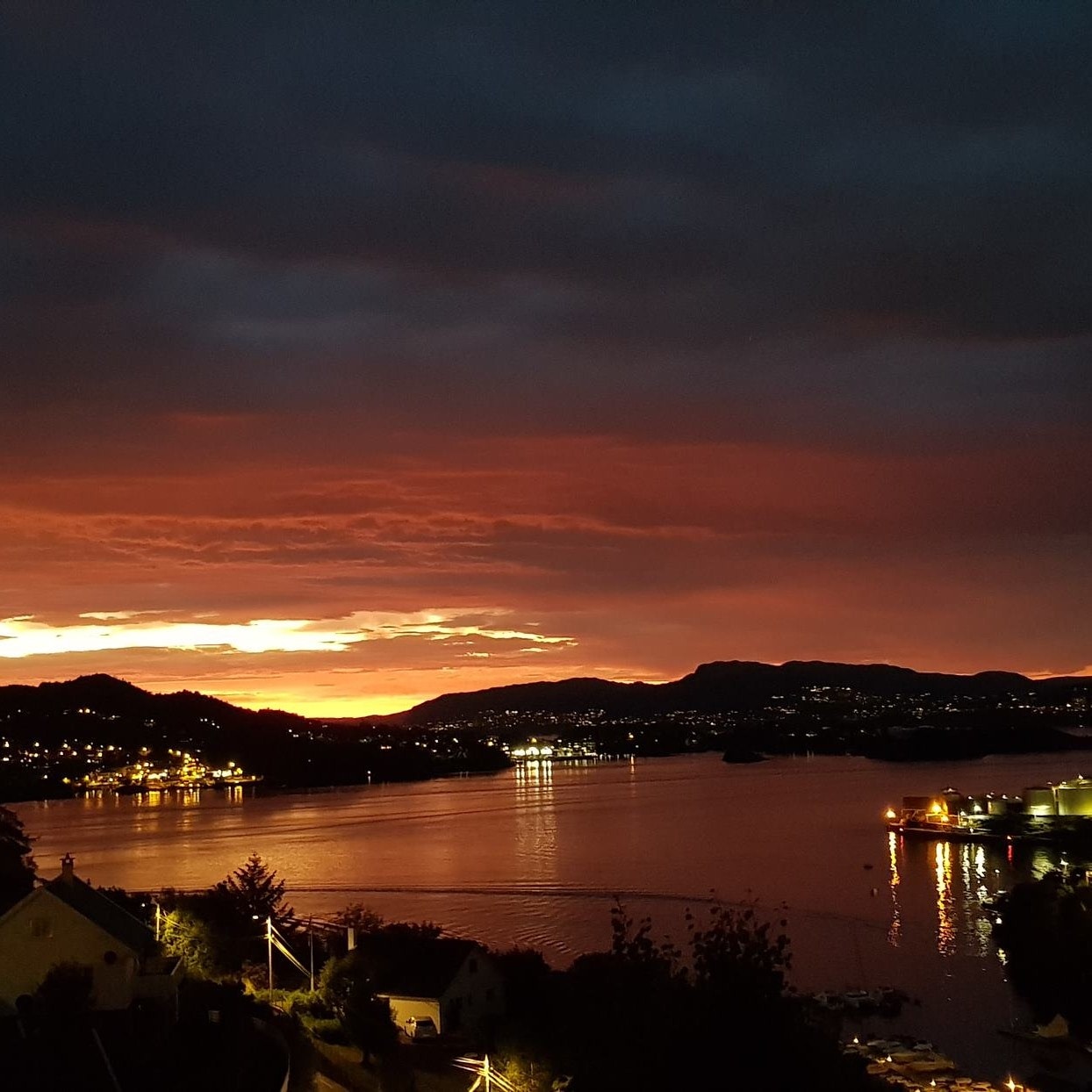 Selgers egen bilder Galleribilde