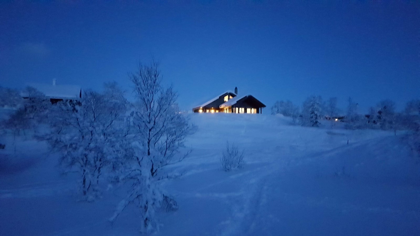 20200223_183452.jpg Galleribilde