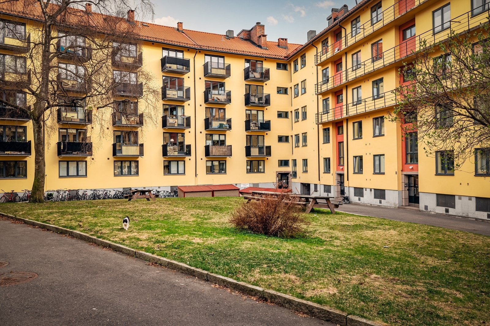 Pen bakgård med sykkelparkering og flere sittegrupper Galleribilde