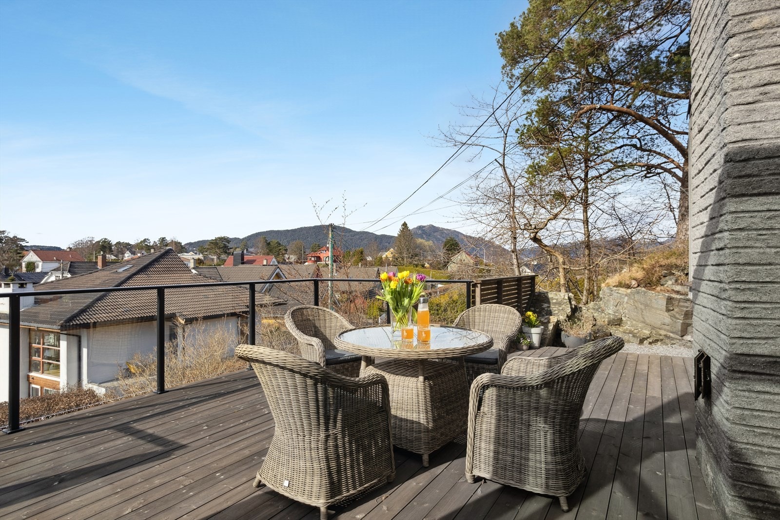 Fra terrasse på tomten. Galleribilde