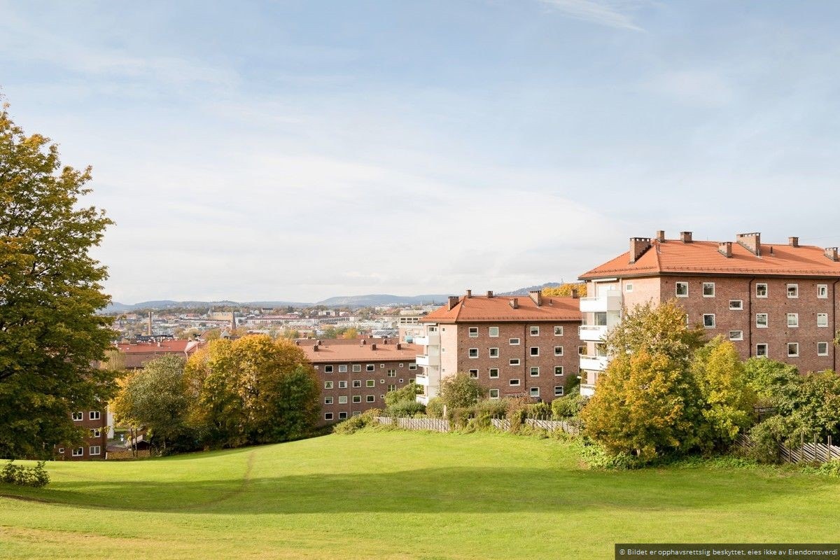 Her bor du naturnært og sentralt. Galleribilde