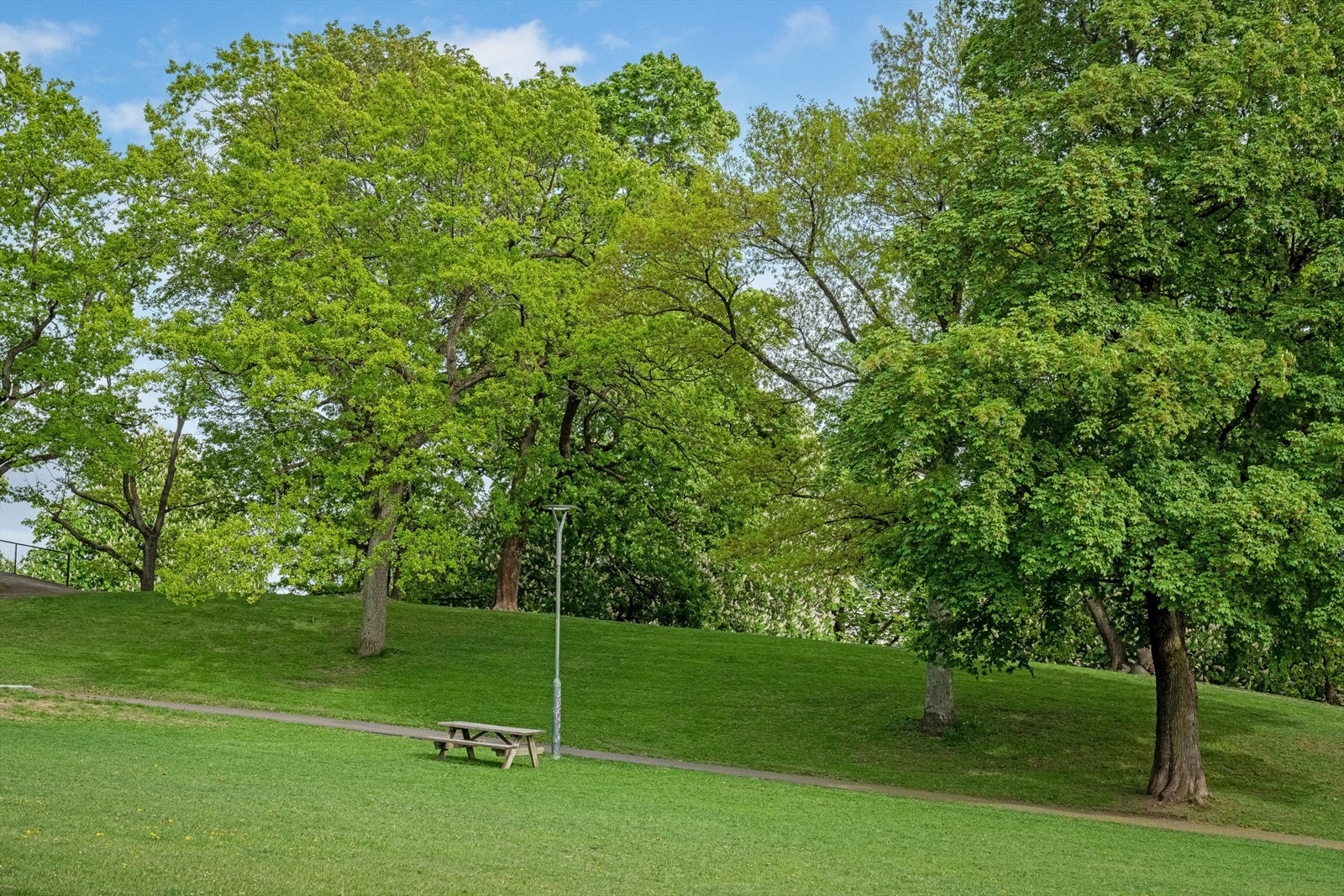 Det er mange flotte turmuligheter i nærområdet, her fra Bjølsenparken. Galleribilde