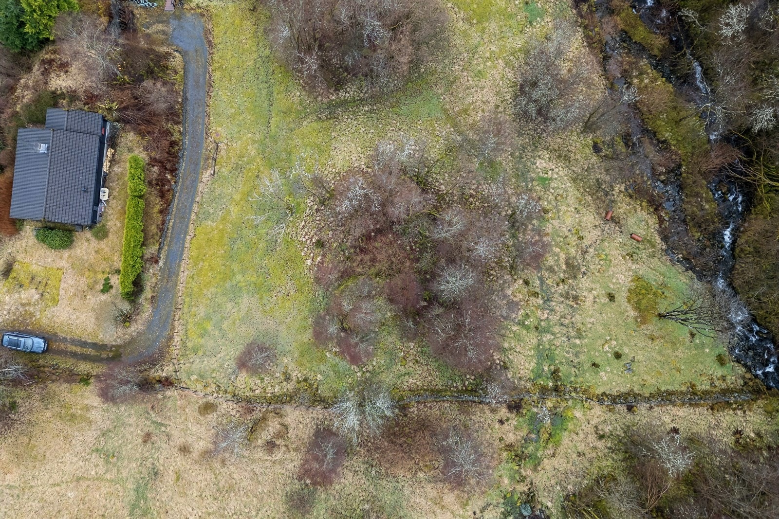 Tomten grenser til fritidsbolig. Galleribilde