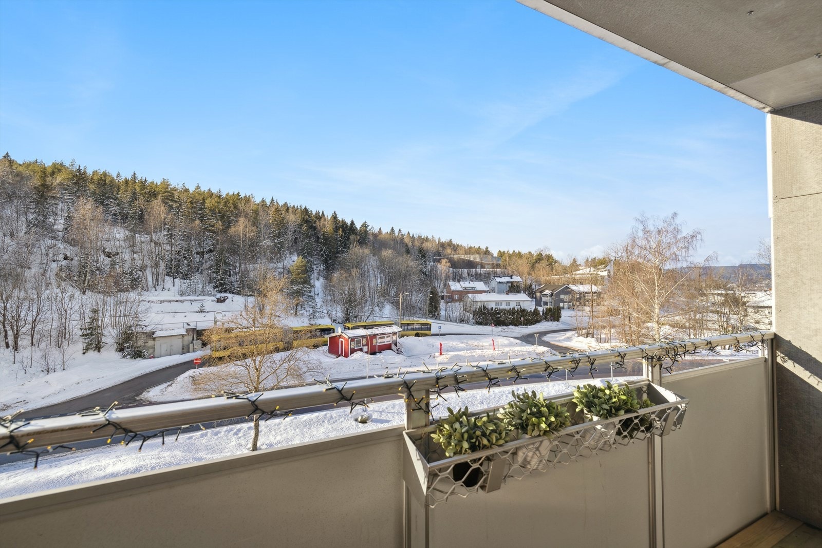 Flott utsikt mot skog og mark Galleribilde