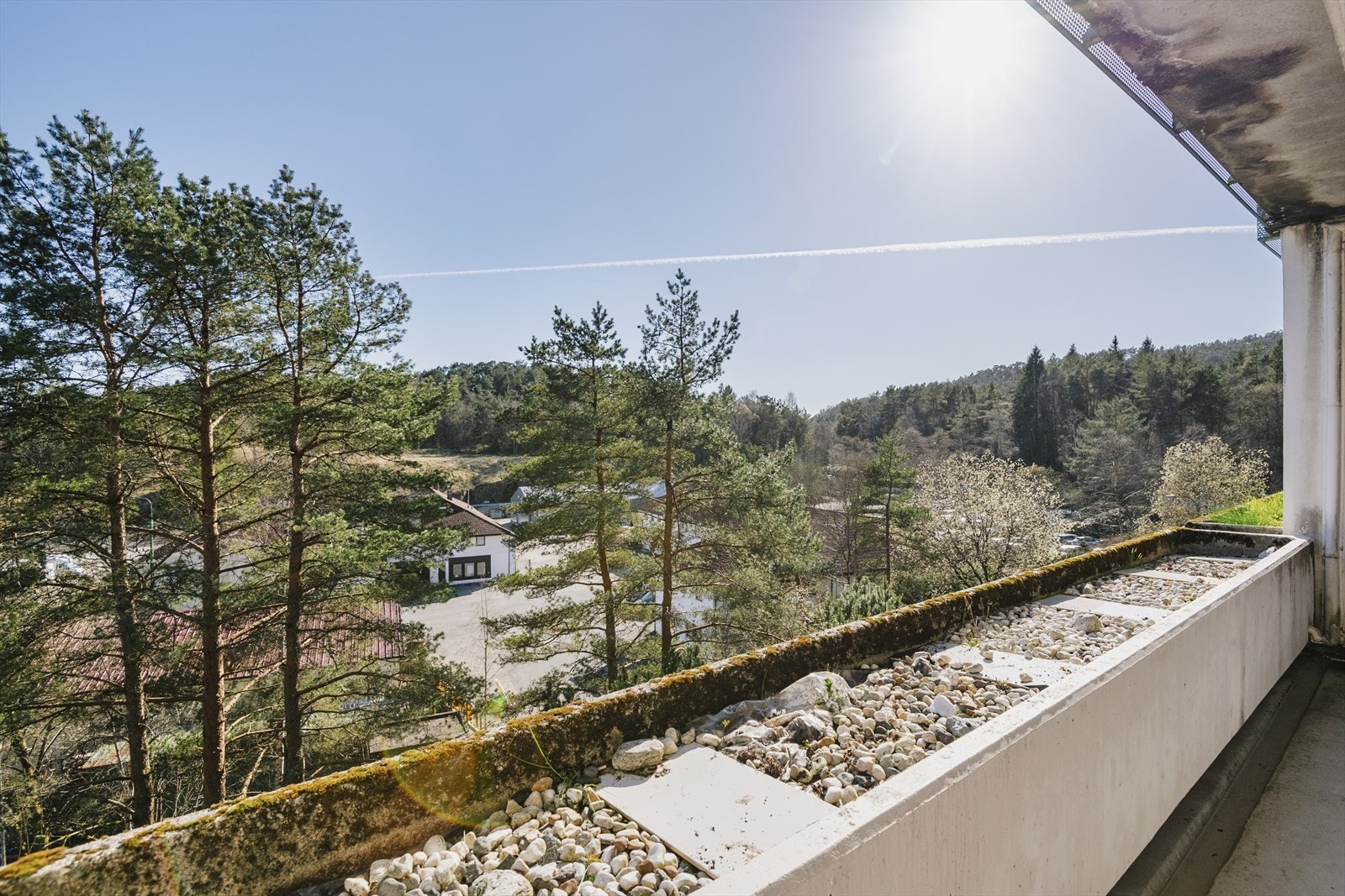 Et sted å trives. Galleribilde