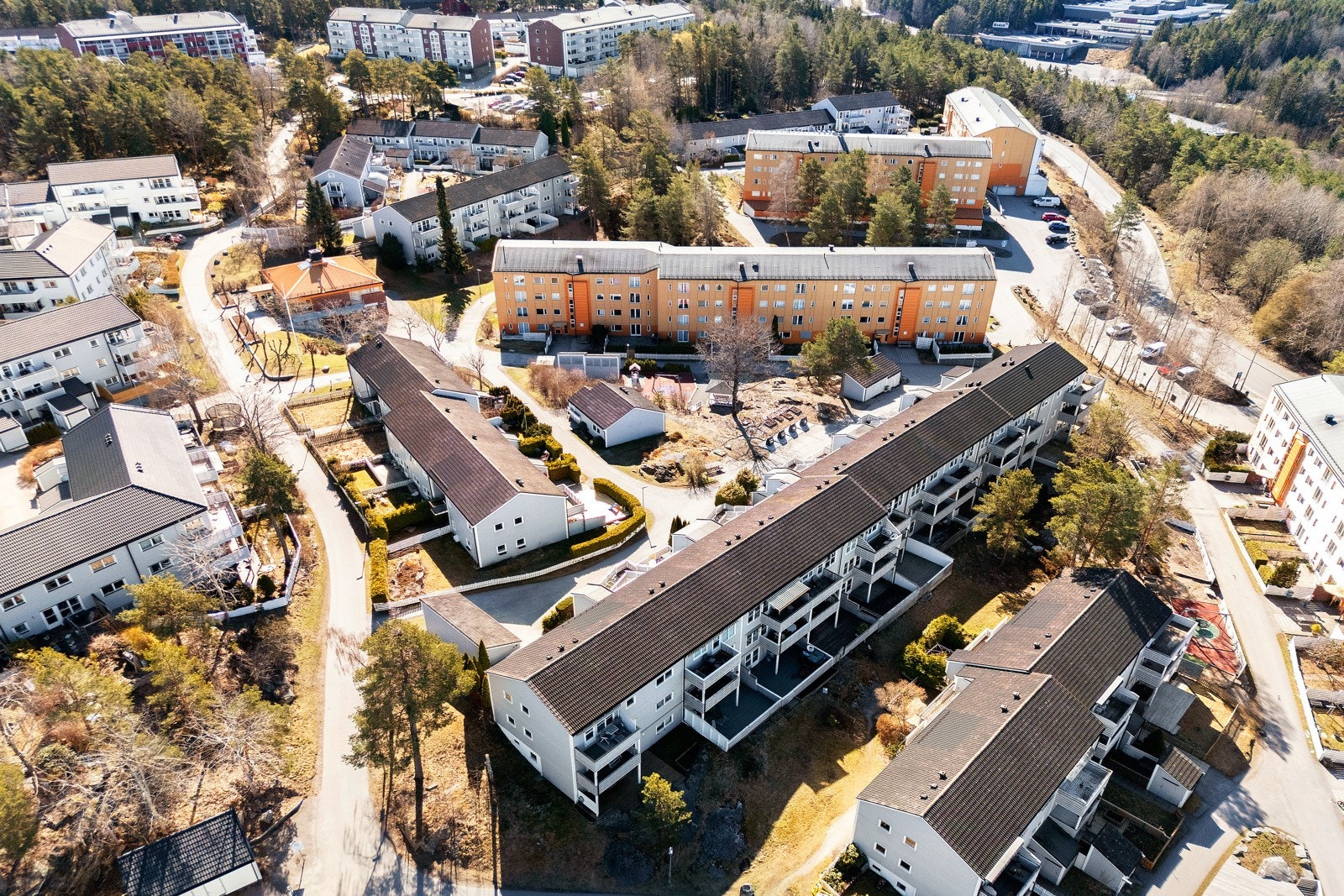 Nærområdet. Galleribilde