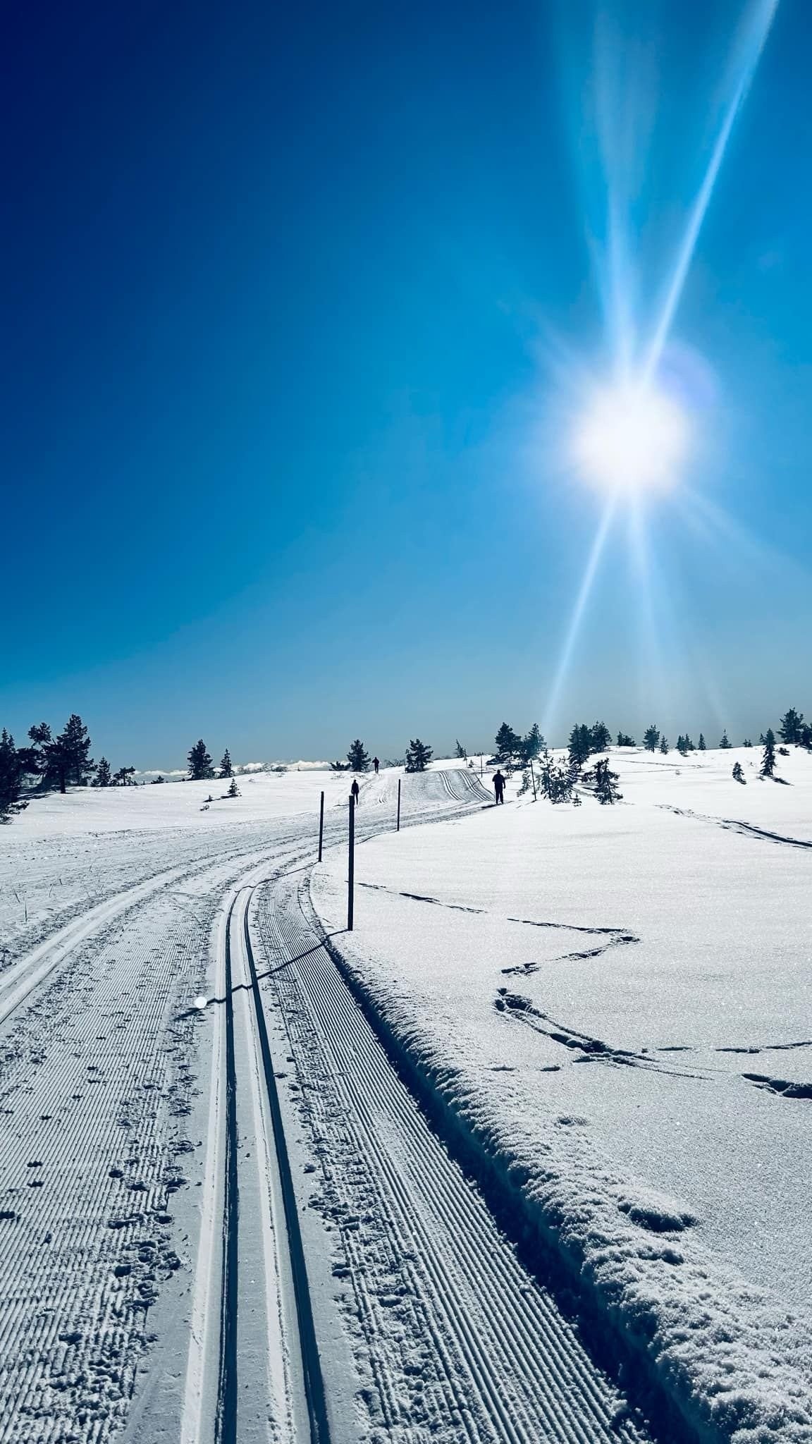 Milevis med flotte skiløyper Galleribilde