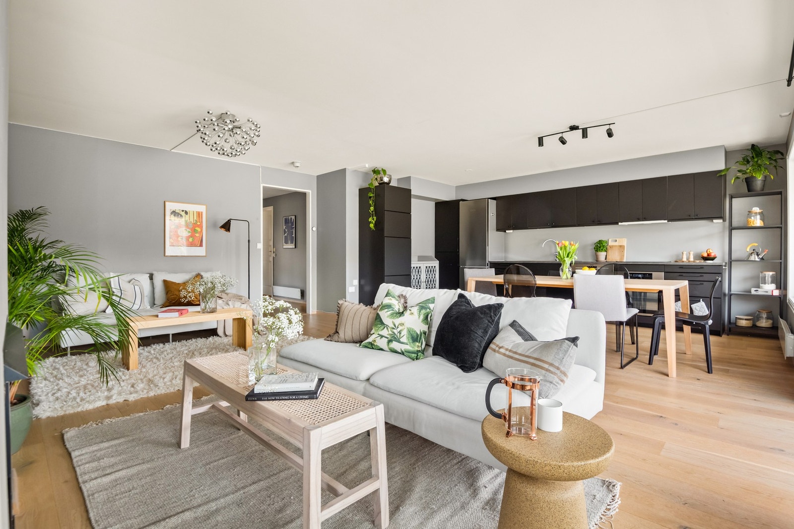 Boligens sosiale sone er innbydende. Galleribilde