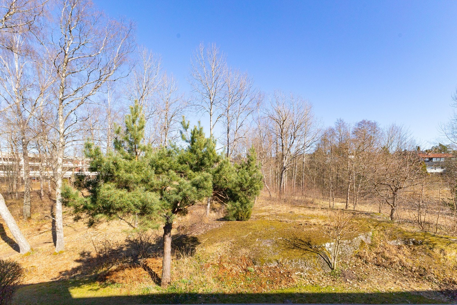 Østvendt balkong med morgensol og hyggelig utsyn. Galleribilde