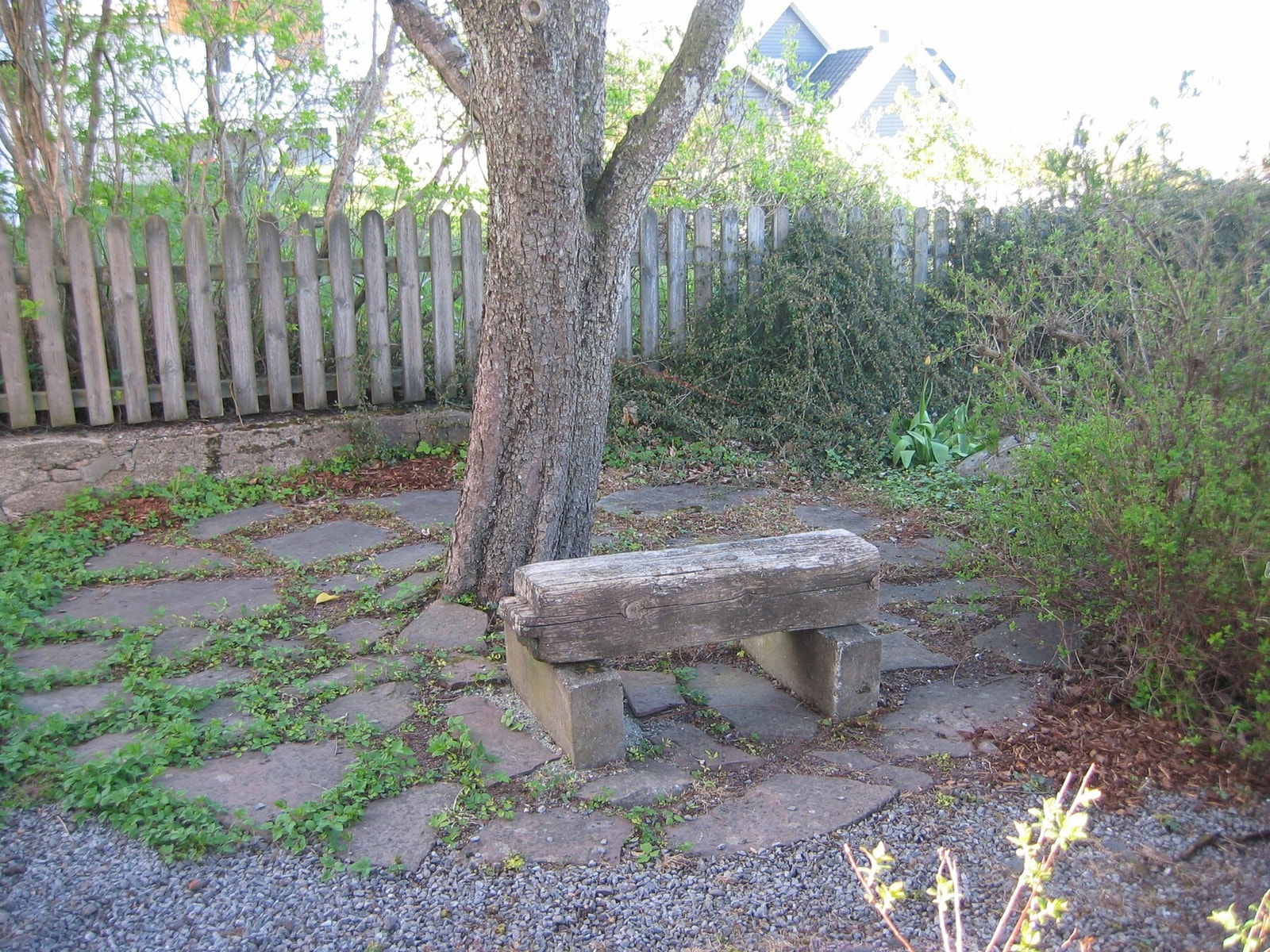 Sitteplass under det gamle pæretreet. Her sitter du trolig også på restene av en seilskutebjelke Galleribilde